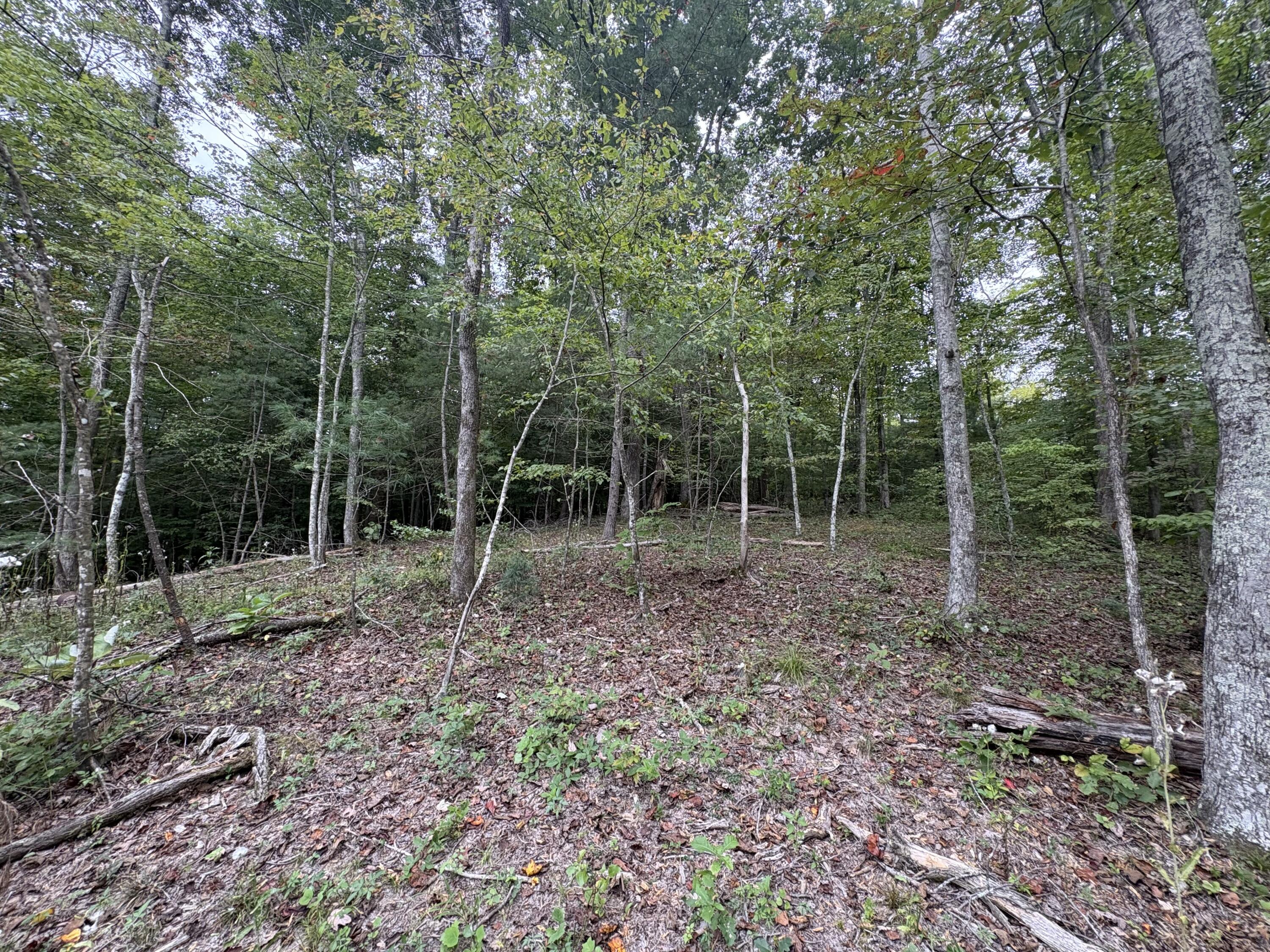 3 Fincastle Road, Unit LOT 3 Rogers, KY 41365 - Photo 10 of 13 IMG_4178