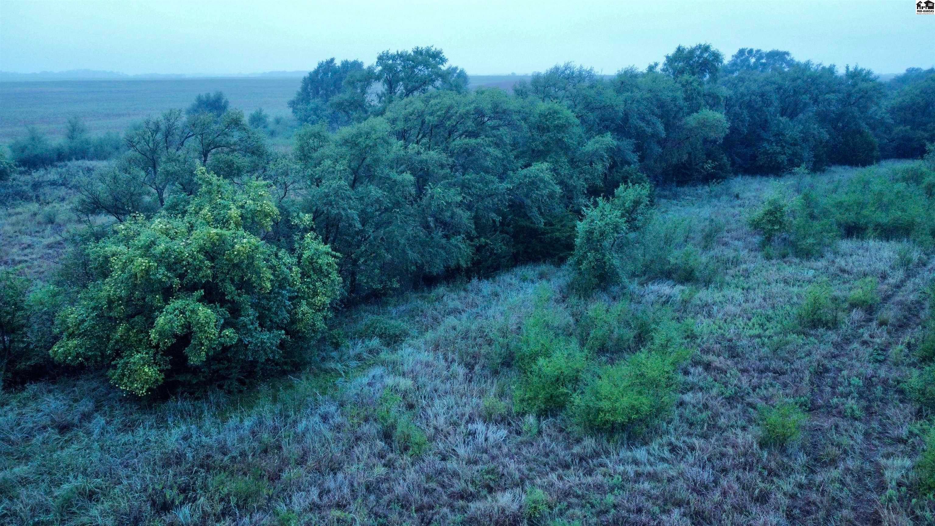 0 South Dean Road Pretty Prairie, KS 67570 - Photo 8 of 30 Gallery Image 8