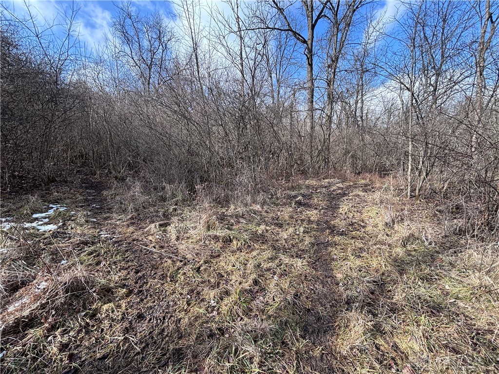 924 Eris Road Urbana, OH 43078 - Photo 41 of 63