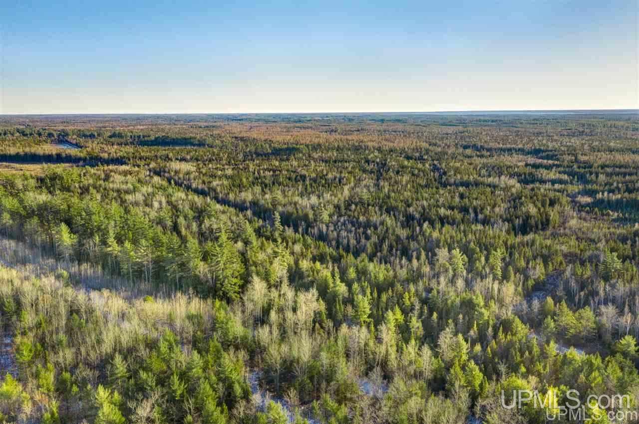 4091 Hiawatha Station Road Manistique, MI 49854 - Photo 9 of 24