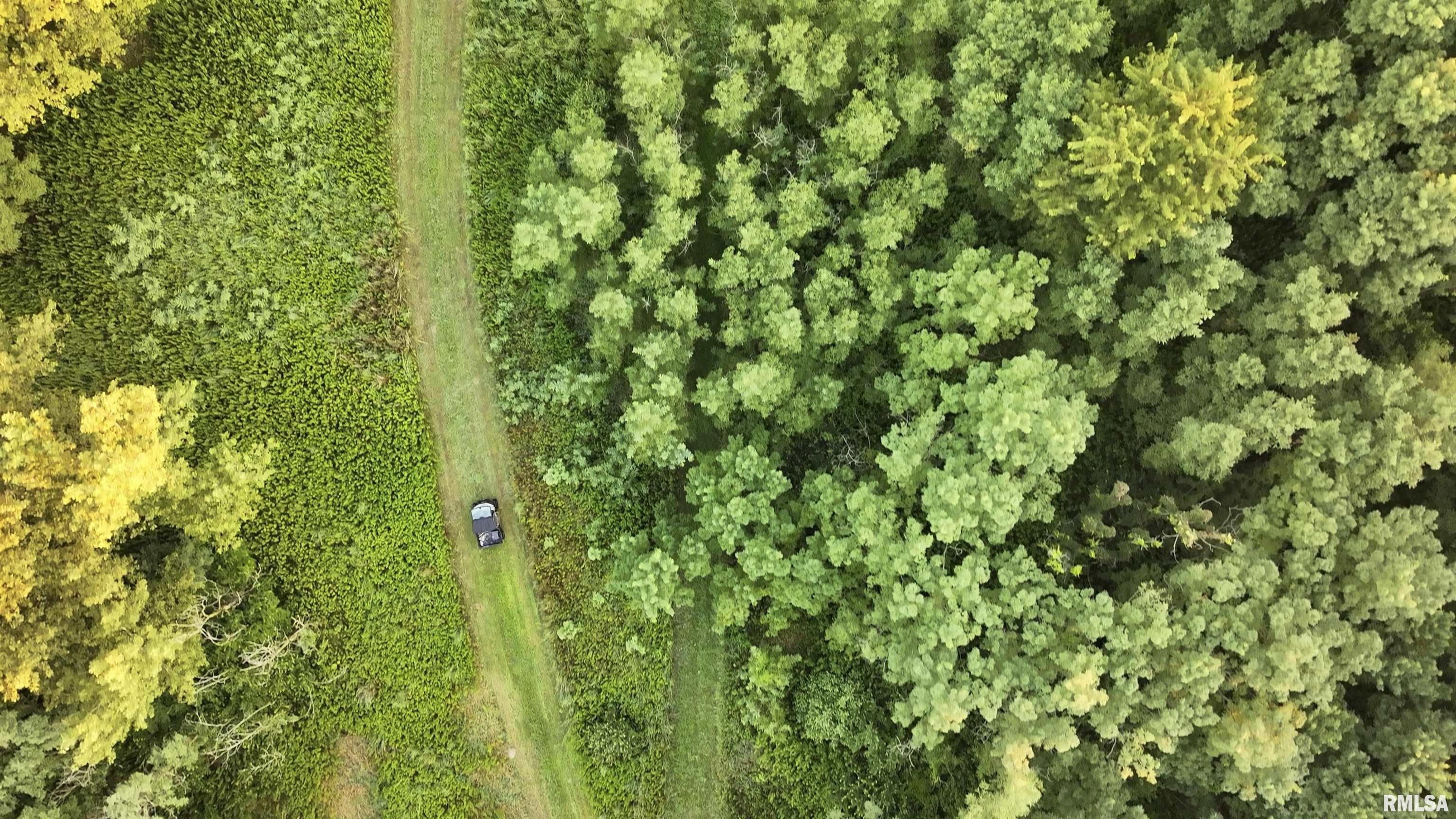 0 Sherwood Road Dahinda, IL 61428 - Photo 11 of 75