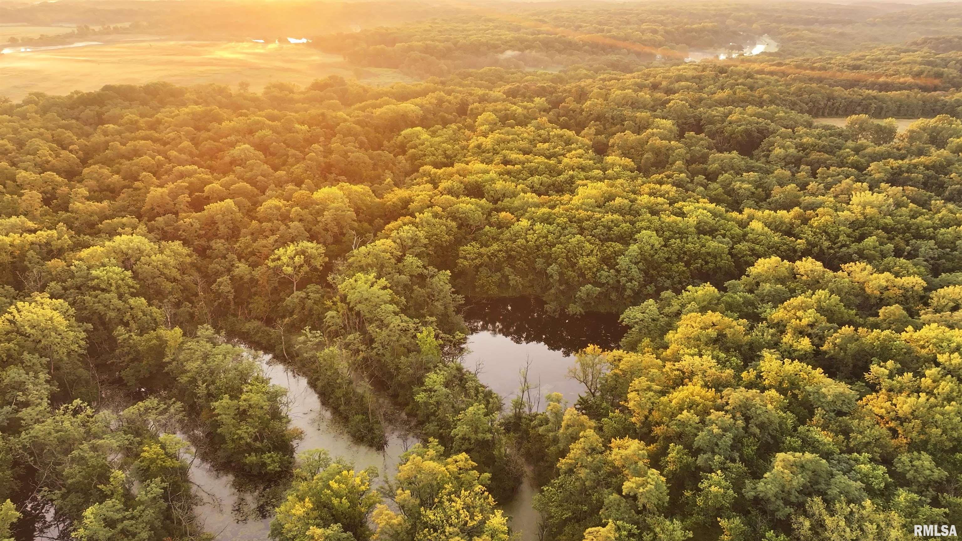 0 Sherwood Road Dahinda, IL 61428 - Photo 12 of 75