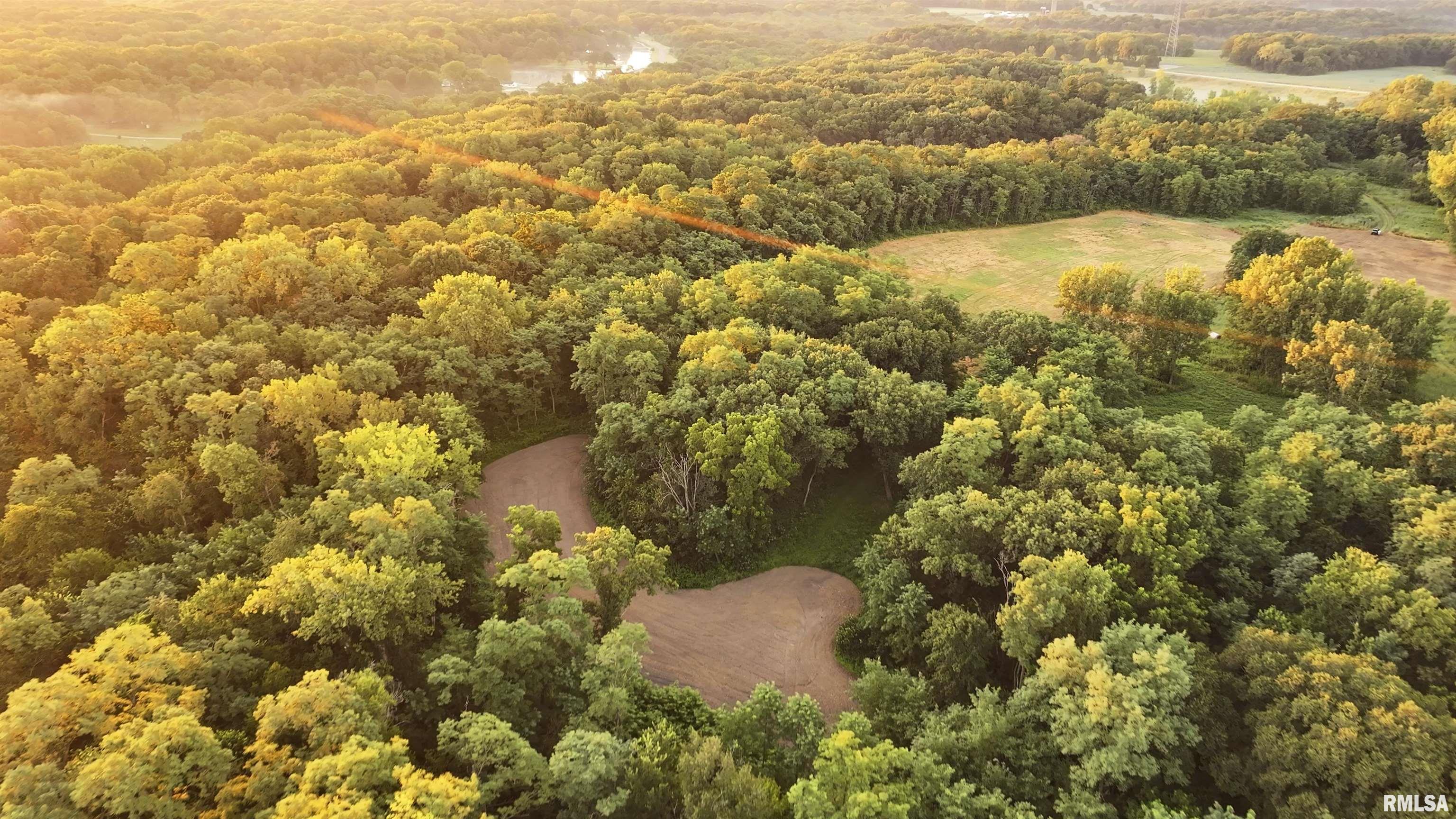 0 Sherwood Road Dahinda, IL 61428 - Photo 13 of 75