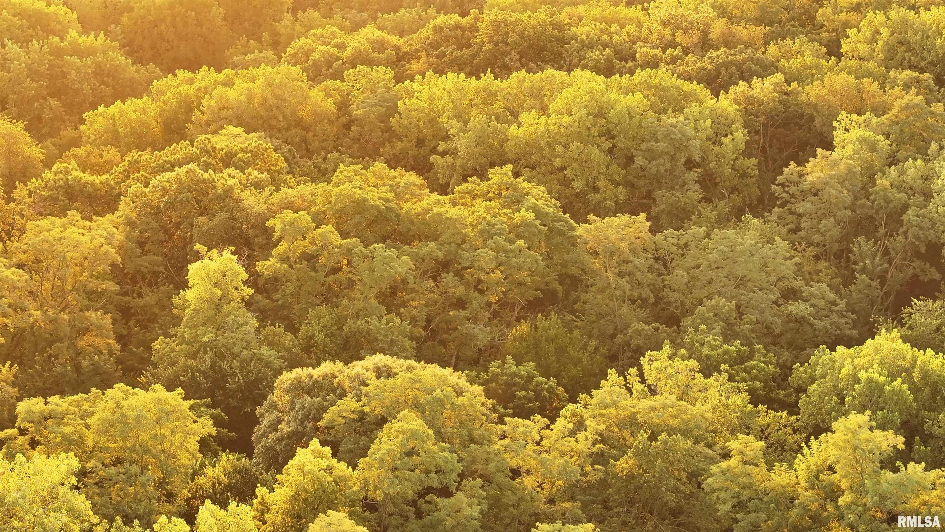 0 Sherwood Road Dahinda, IL 61428 - Photo 15 of 75