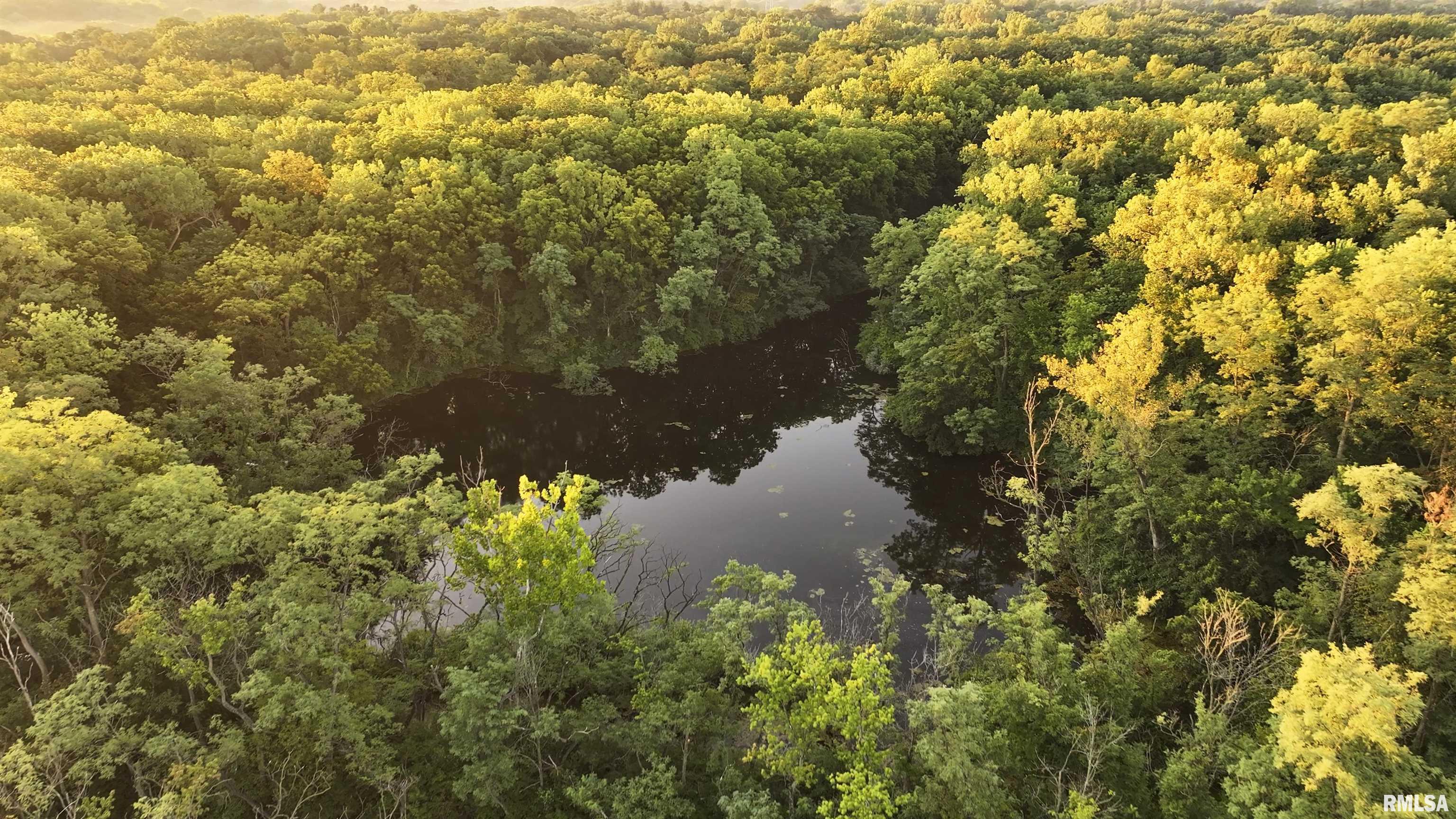 0 Sherwood Road Dahinda, IL 61428 - Photo 18 of 75