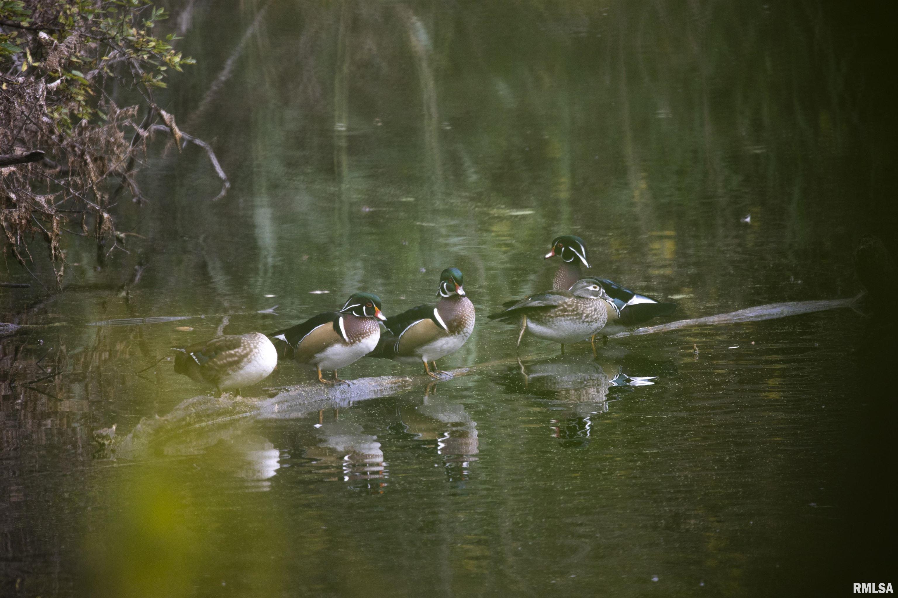 0 Sherwood Road Dahinda, IL 61428 - Photo 2 of 75