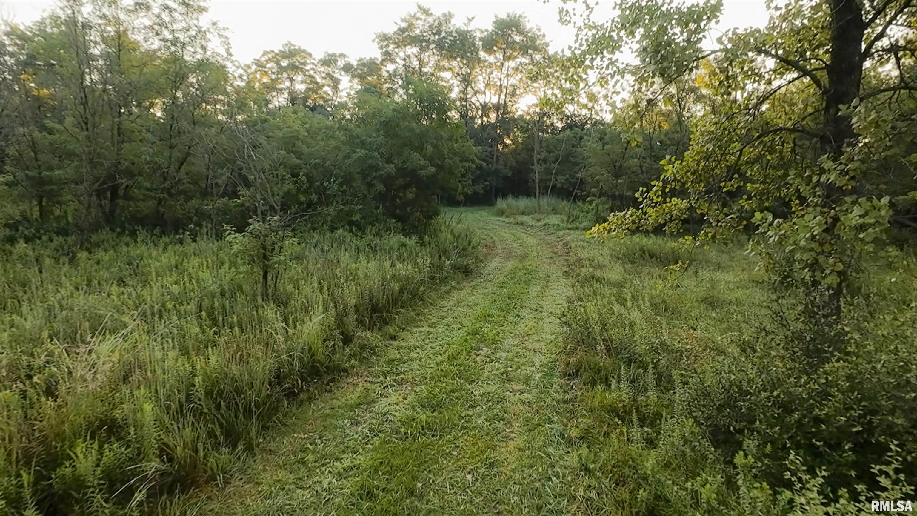 0 Sherwood Road Dahinda, IL 61428 - Photo 21 of 75