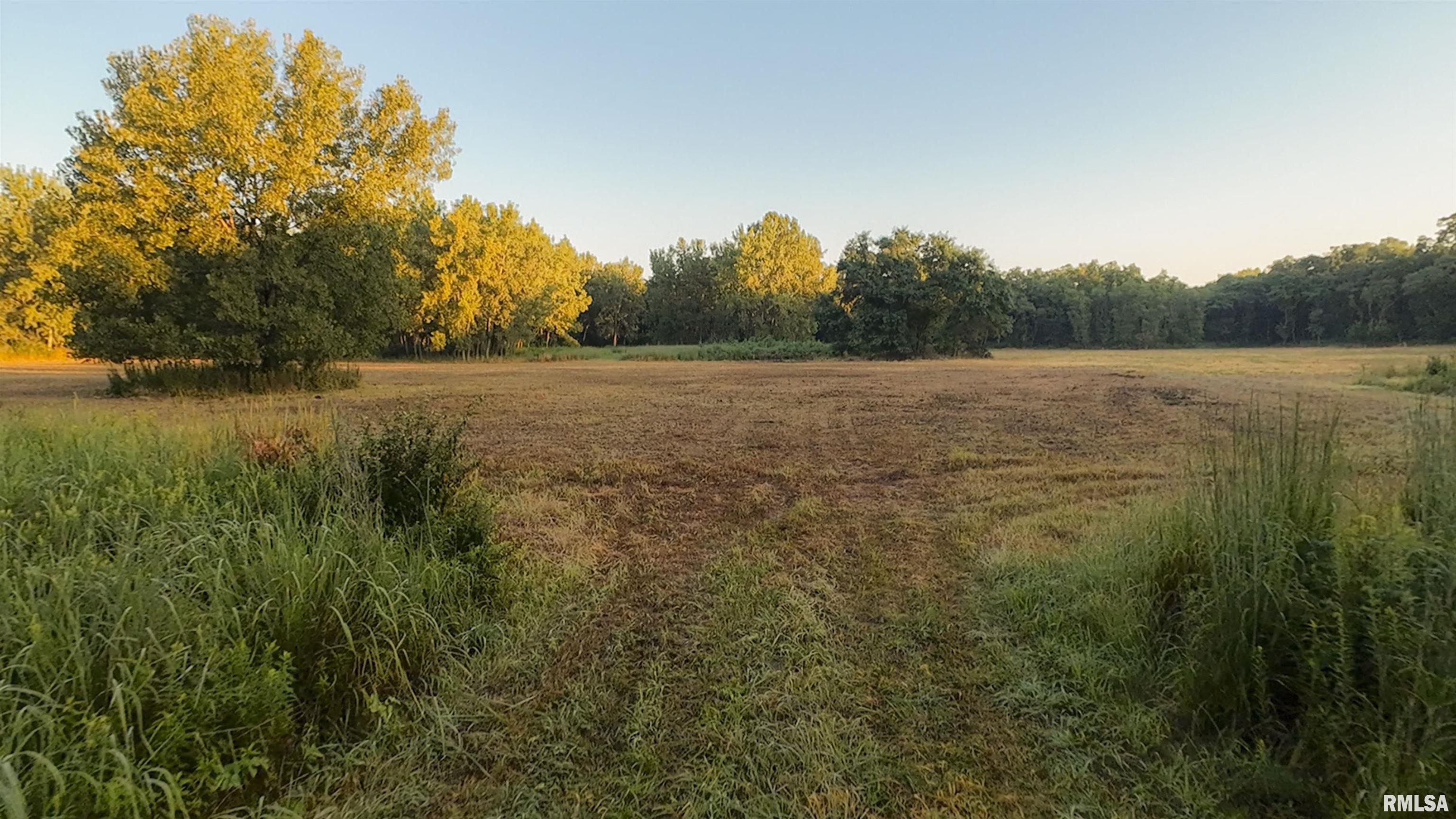 0 Sherwood Road Dahinda, IL 61428 - Photo 22 of 75