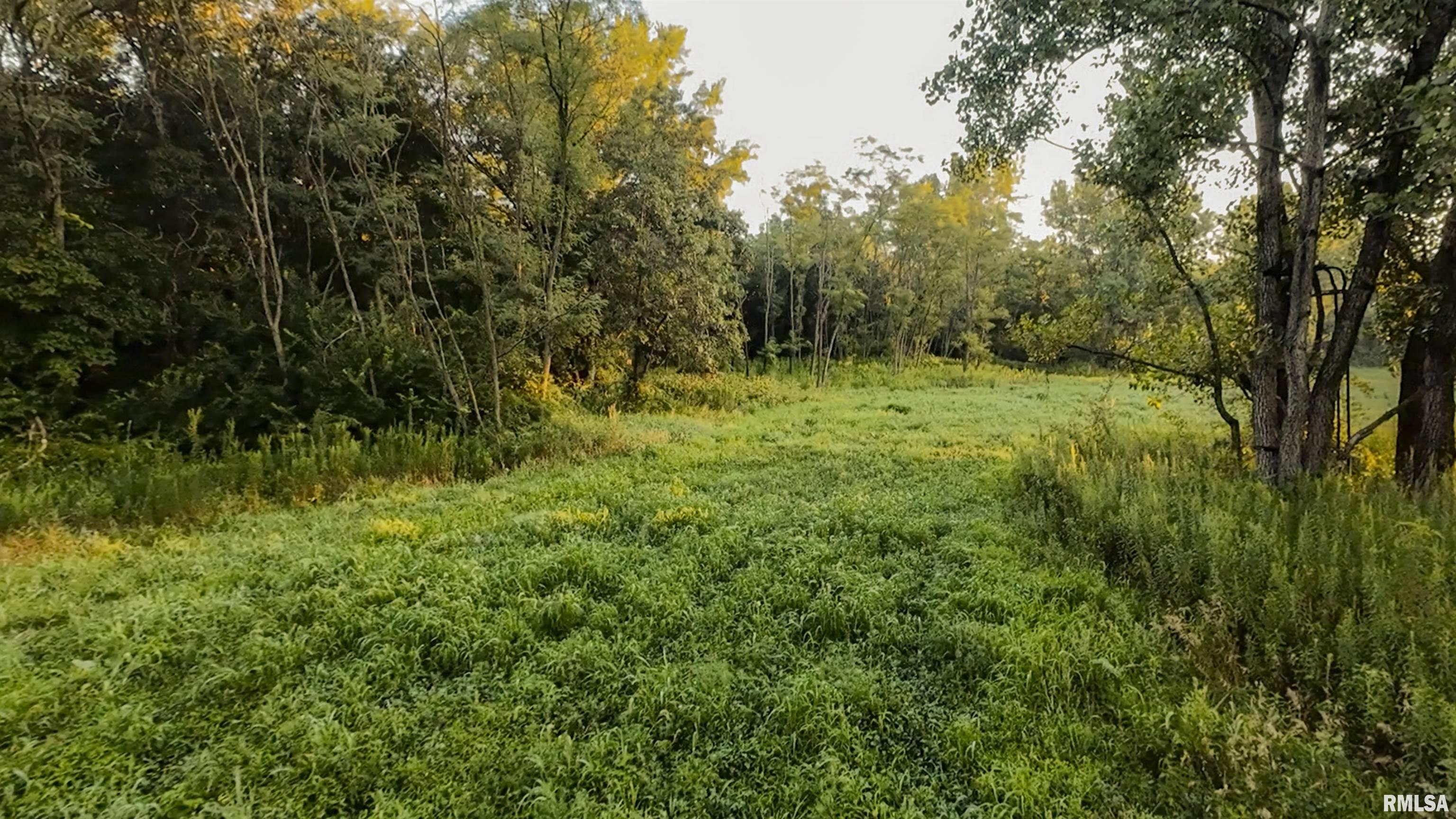 0 Sherwood Road Dahinda, IL 61428 - Photo 24 of 75