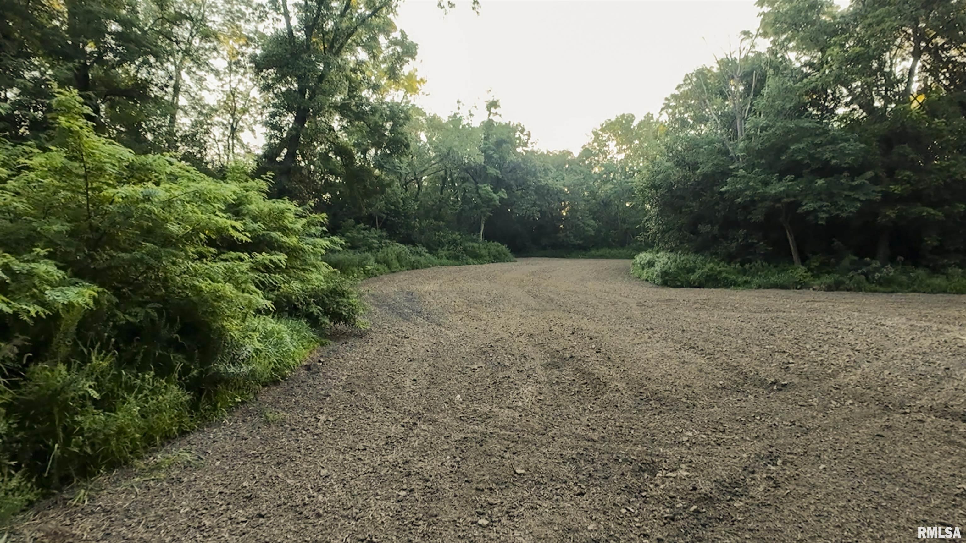 0 Sherwood Road Dahinda, IL 61428 - Photo 26 of 75