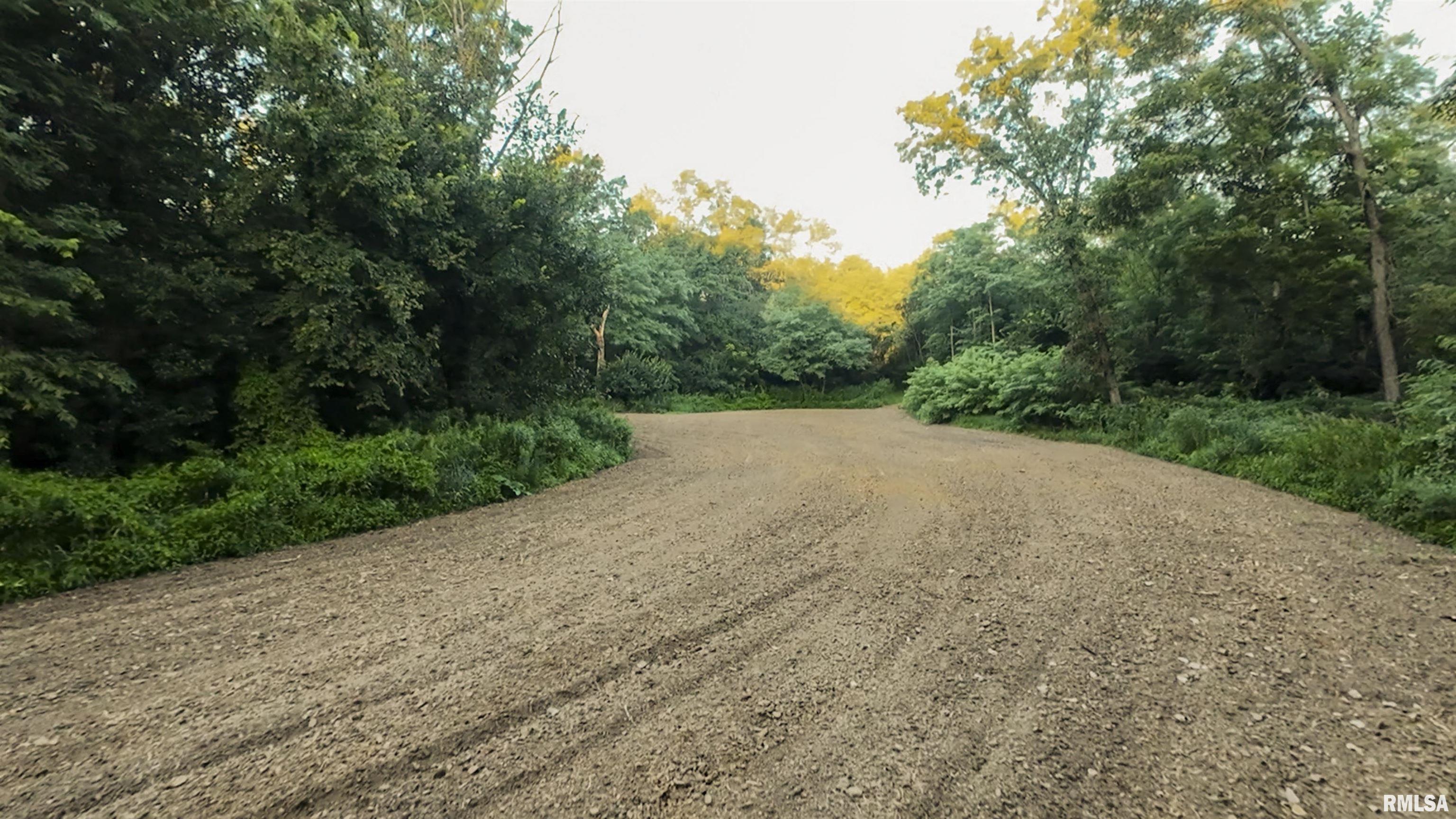 0 Sherwood Road Dahinda, IL 61428 - Photo 27 of 75