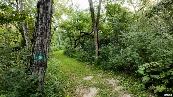 $1,241,108 | 0 Sherwood Road, Dahinda, IL 61428