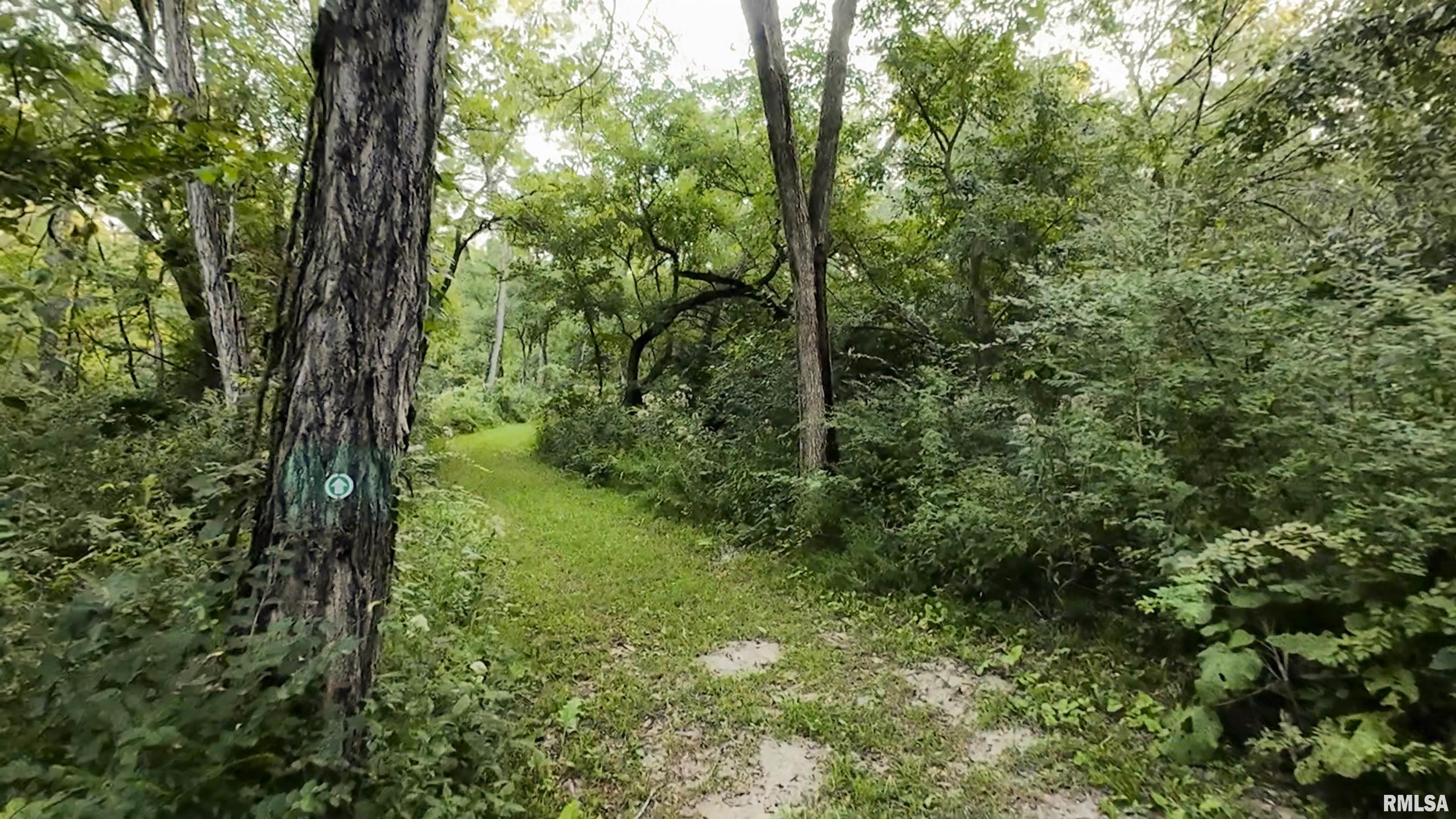 0 Sherwood Road Dahinda, IL 61428 - Photo 29 of 75