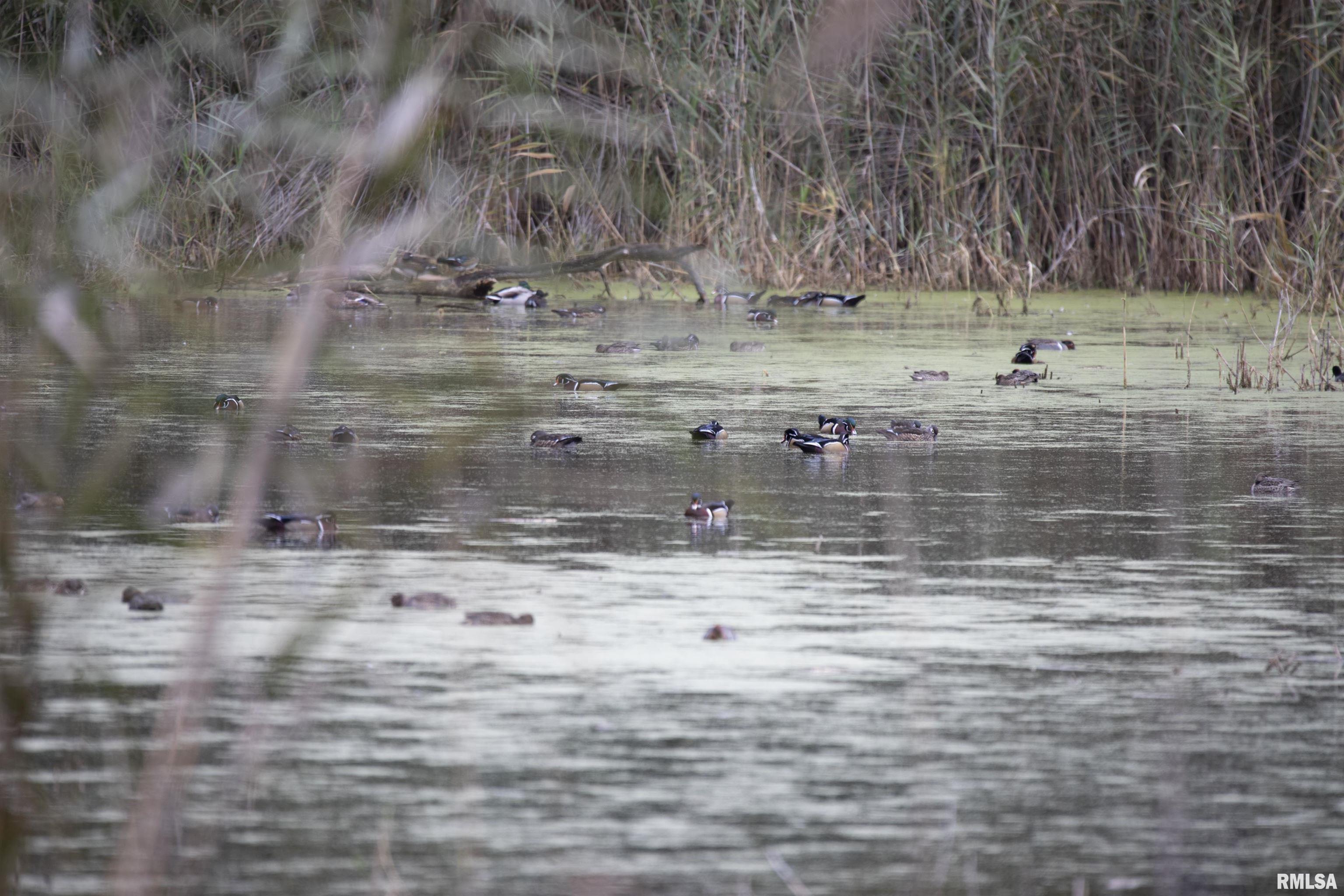0 Sherwood Road Dahinda, IL 61428 - Photo 3 of 75