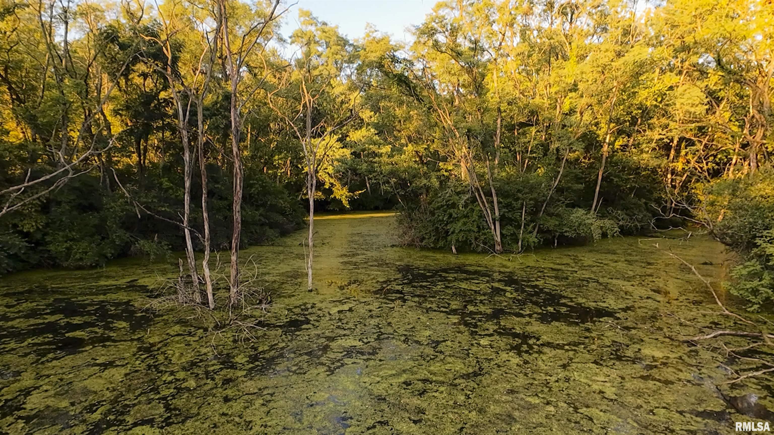 0 Sherwood Road Dahinda, IL 61428 - Photo 31 of 75