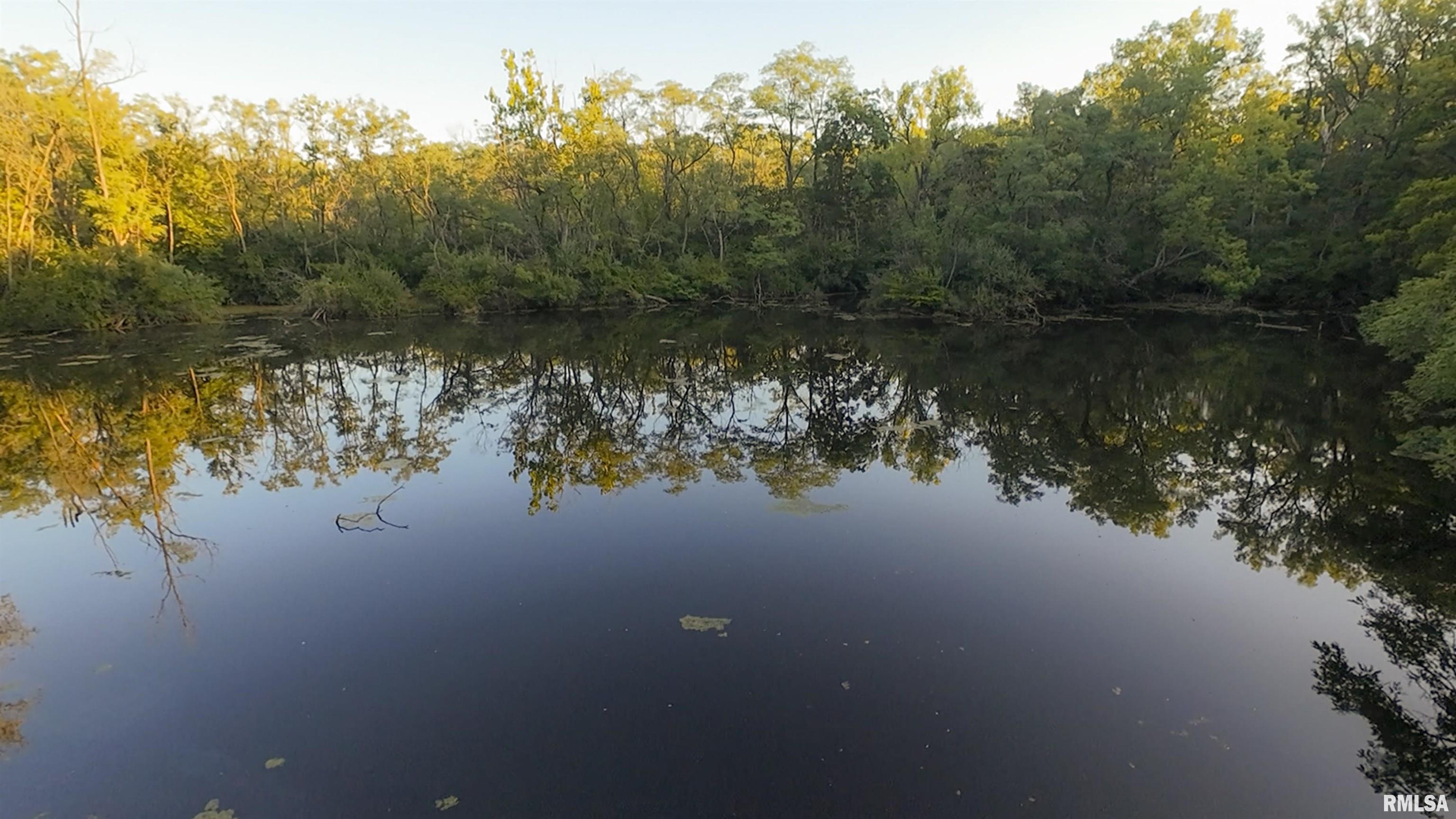 0 Sherwood Road Dahinda, IL 61428 - Photo 32 of 75