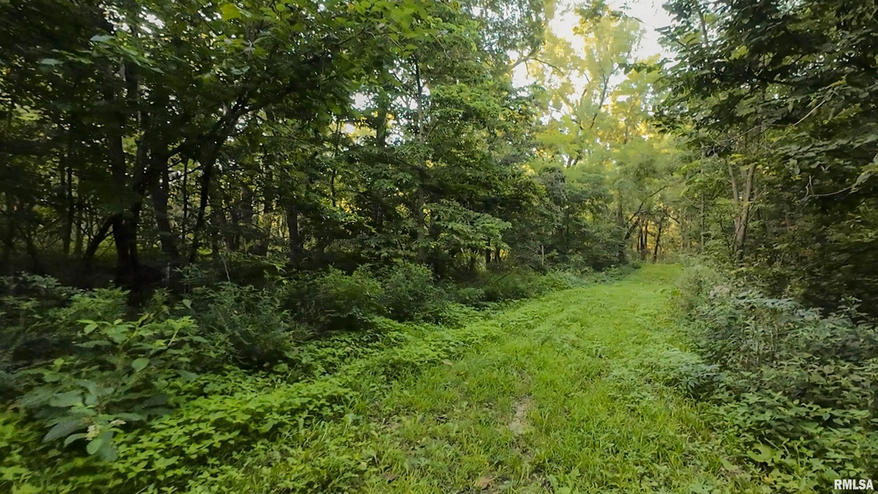 0 Sherwood Road Dahinda, IL 61428 - Photo 34 of 75