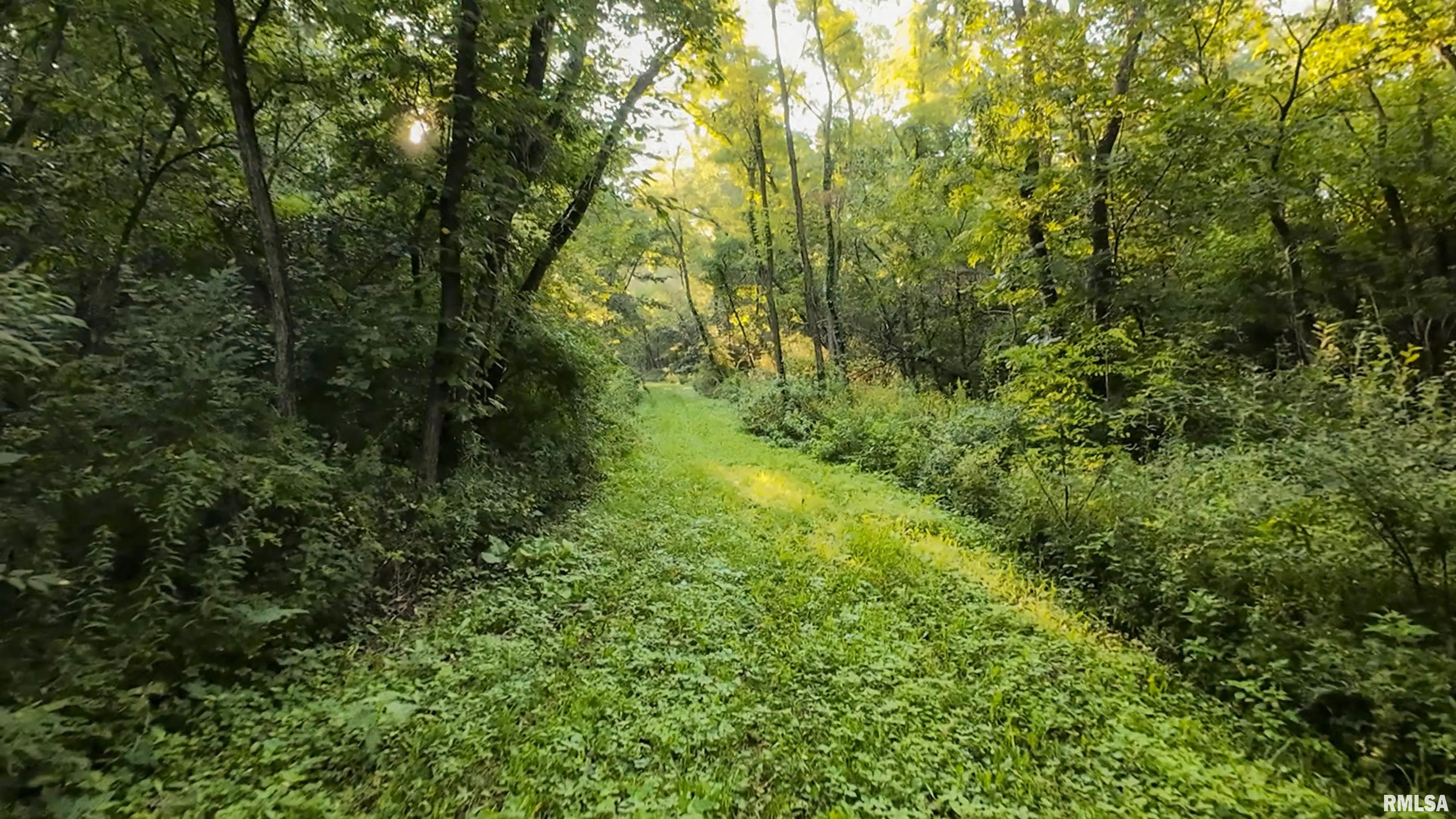 0 Sherwood Road Dahinda, IL 61428 - Photo 36 of 75