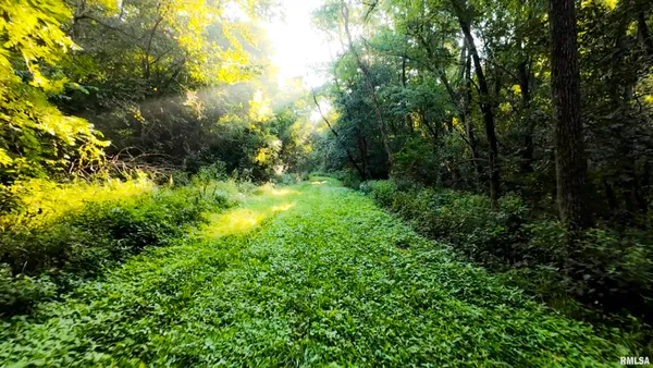 $1,241,108 | 0 Sherwood Road, Dahinda, IL 61428