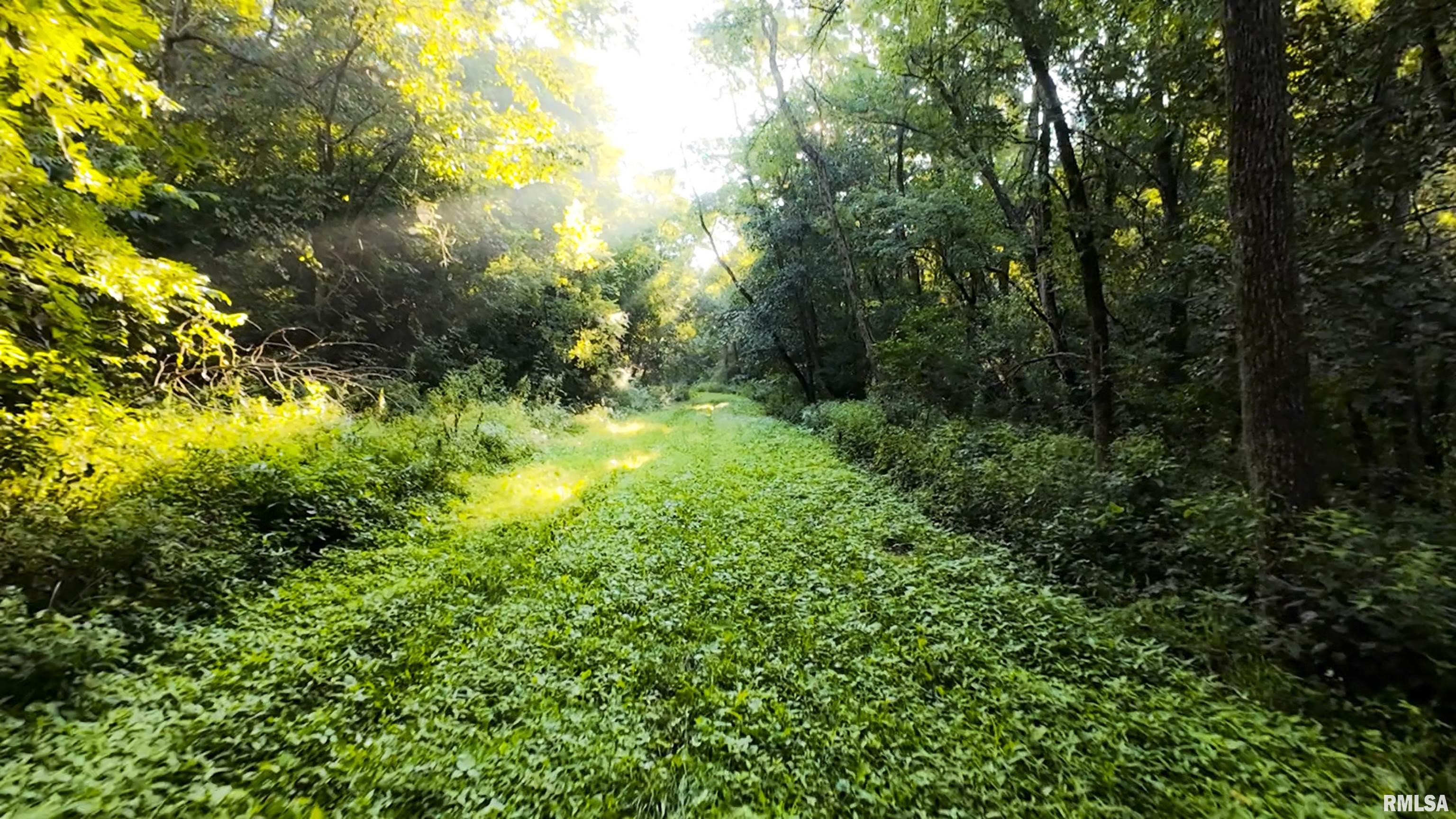 0 Sherwood Road Dahinda, IL 61428 - Photo 39 of 75