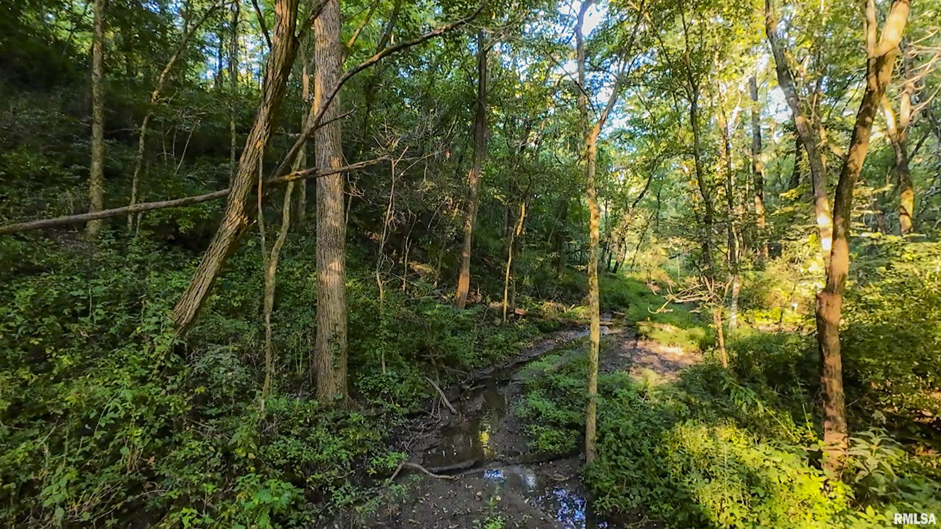 0 Sherwood Road Dahinda, IL 61428 - Photo 40 of 75