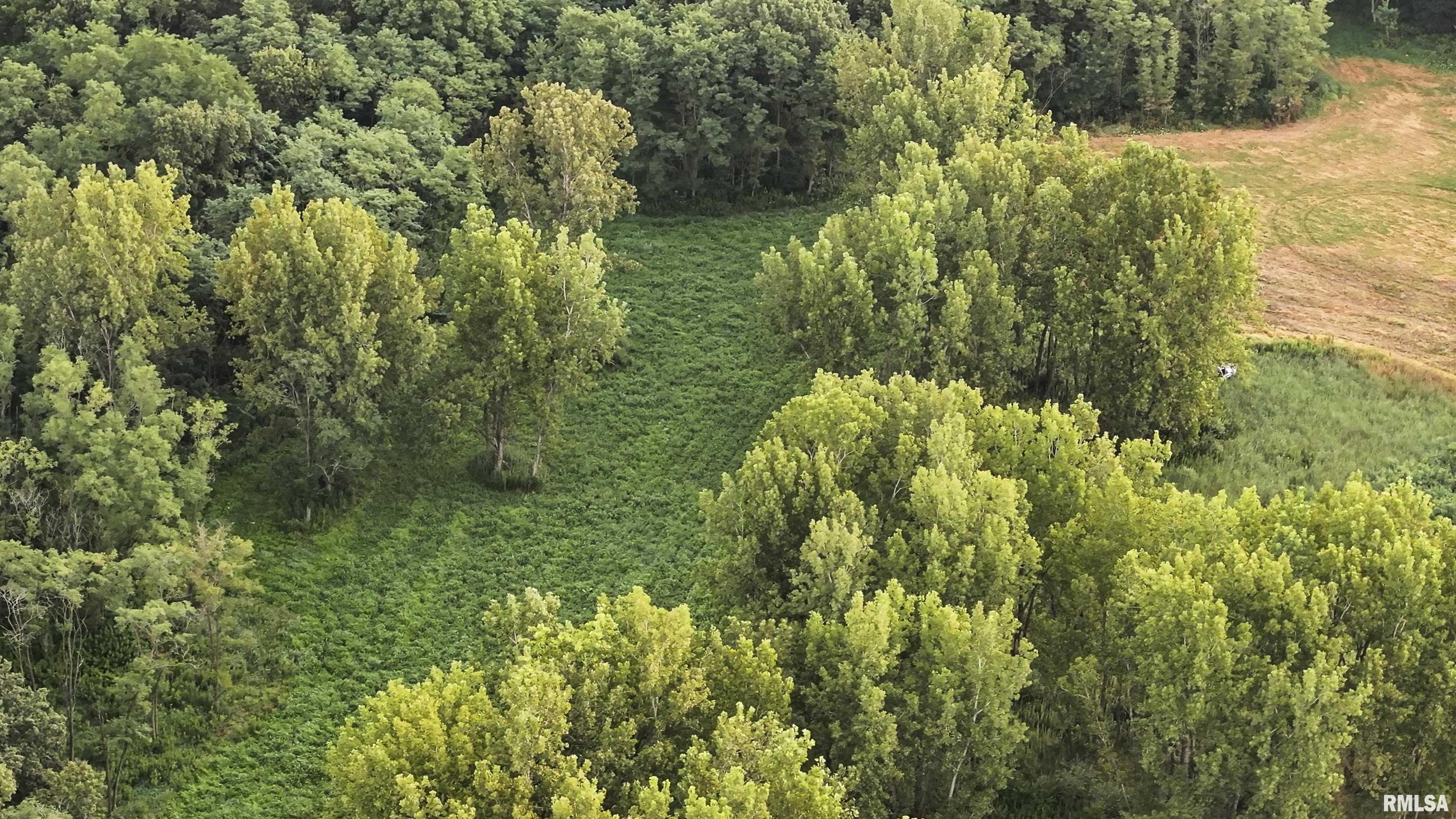 0 Sherwood Road Dahinda, IL 61428 - Photo 4 of 75