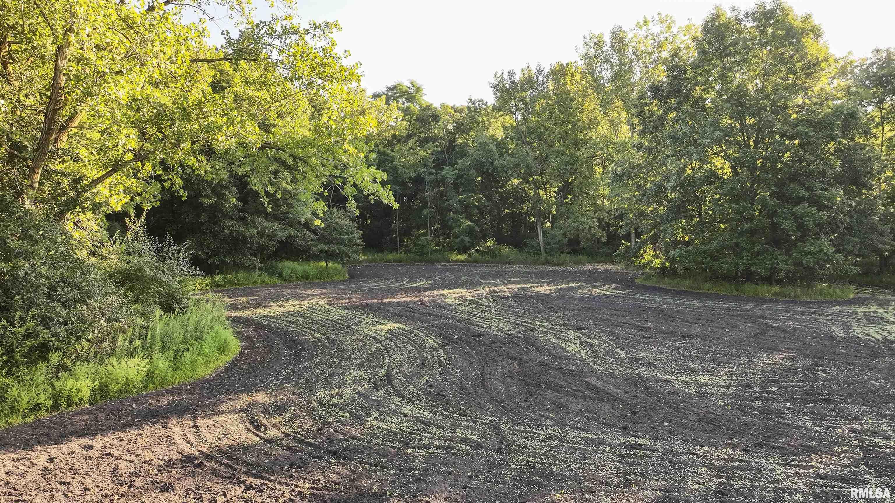 0 Sherwood Road Dahinda, IL 61428 - Photo 42 of 75