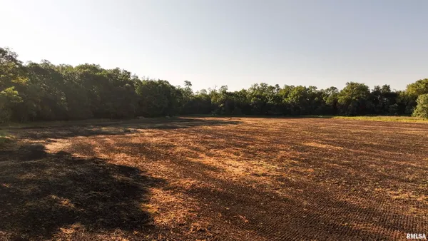 $1,241,108 | 0 Sherwood Road, Dahinda, IL 61428