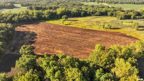 $1,241,108 | 0 Sherwood Road, Dahinda, IL 61428
