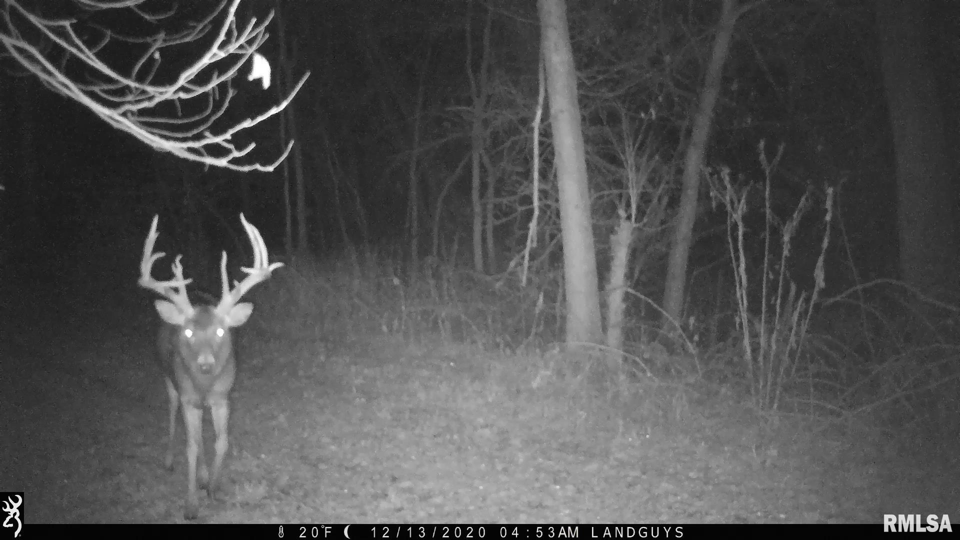 0 Sherwood Road Dahinda, IL 61428 - Photo 48 of 75