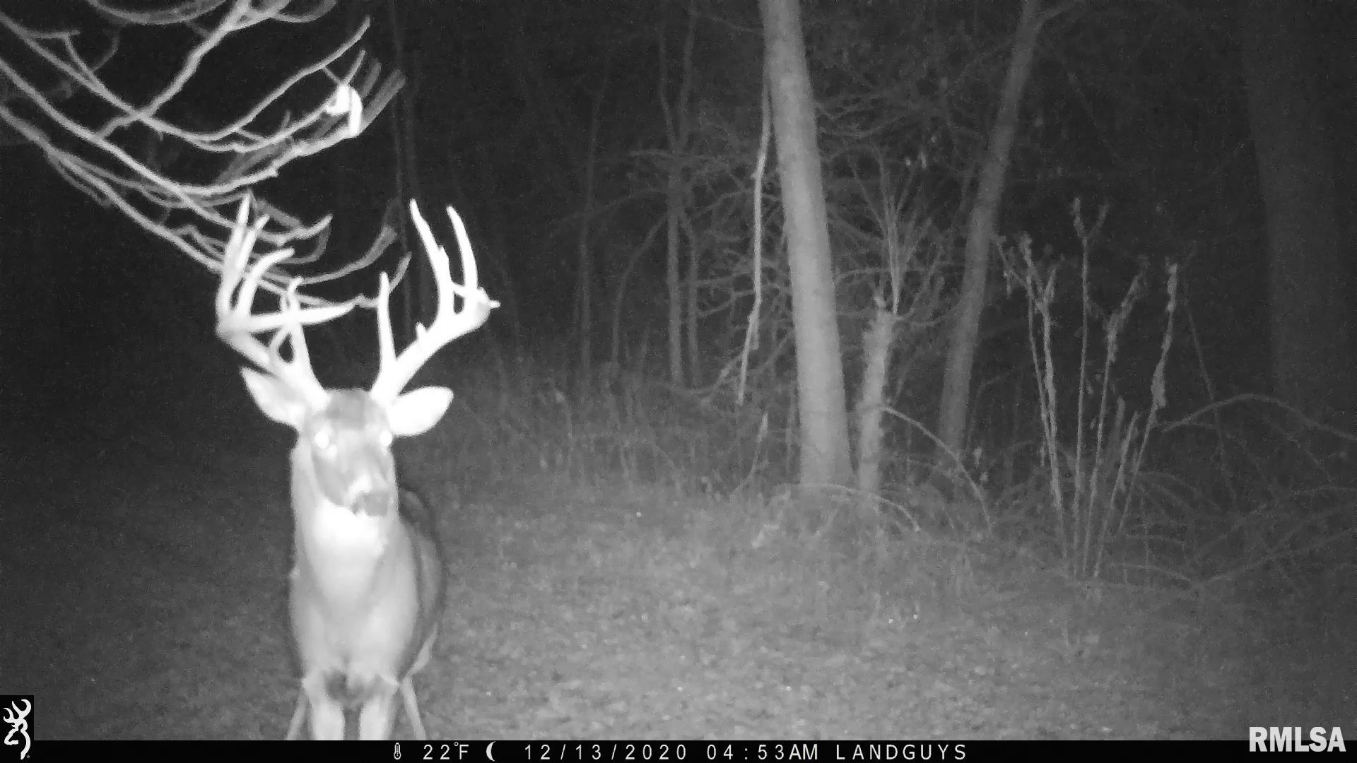 0 Sherwood Road Dahinda, IL 61428 - Photo 50 of 75