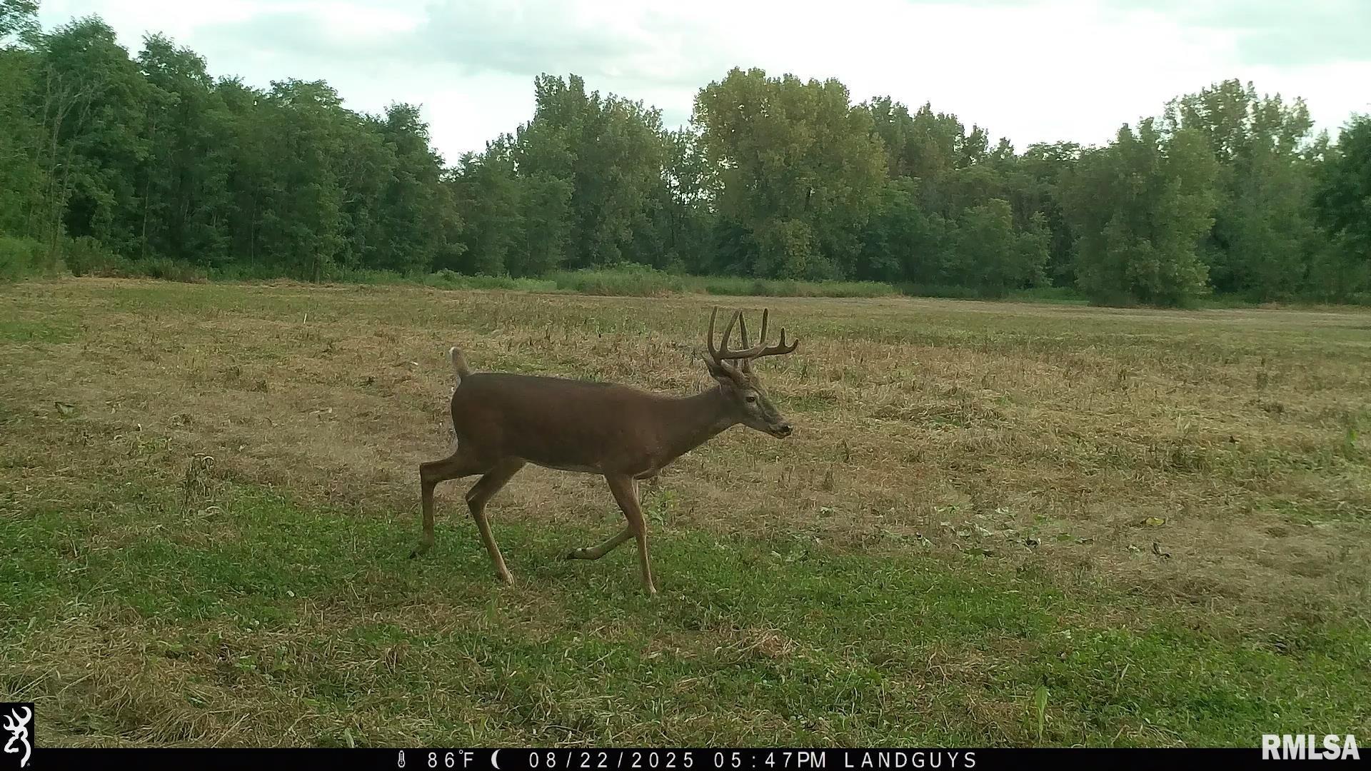 0 Sherwood Road Dahinda, IL 61428 - Photo 51 of 75