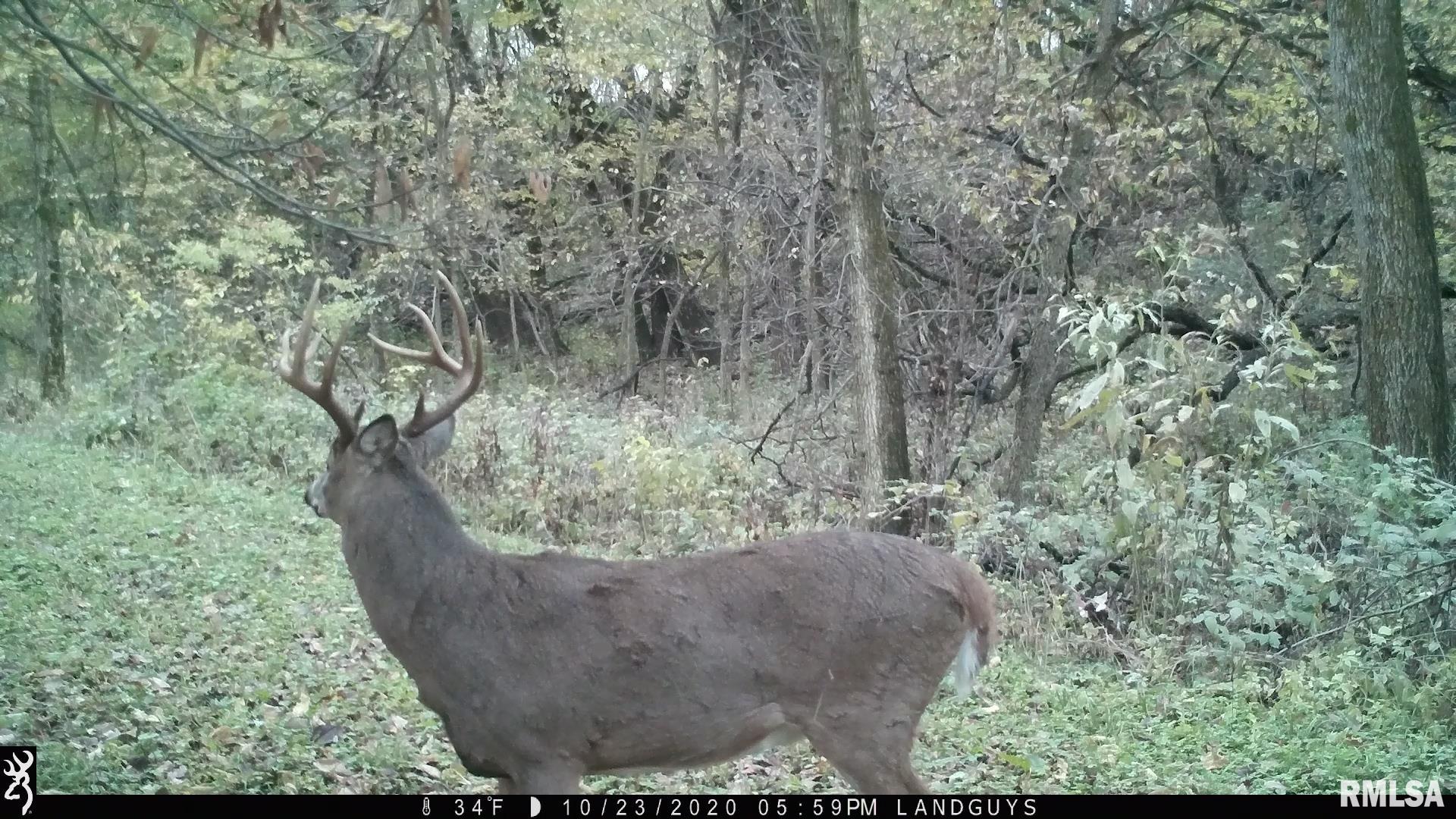 0 Sherwood Road Dahinda, IL 61428 - Photo 53 of 75