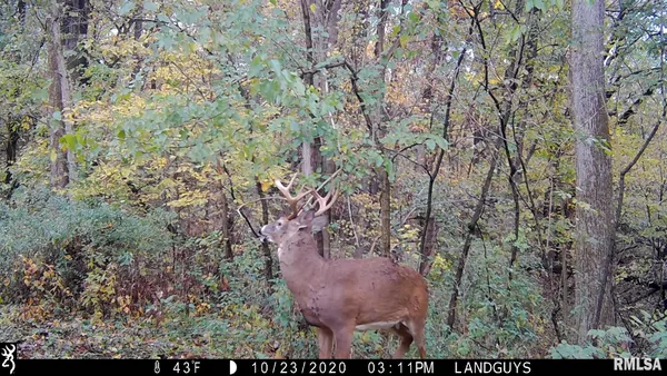 $1,241,108 | 0 Sherwood Road, Dahinda, IL 61428