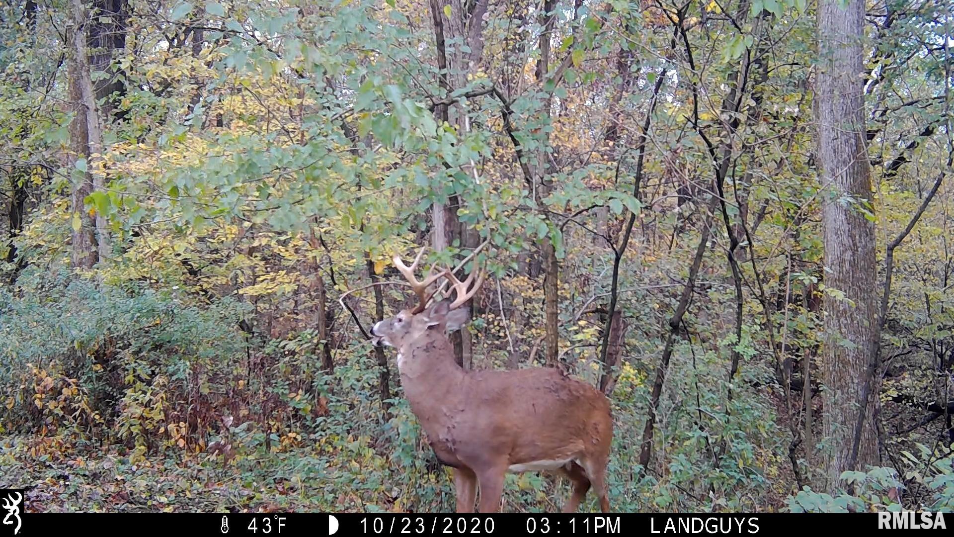 0 Sherwood Road Dahinda, IL 61428 - Photo 54 of 75