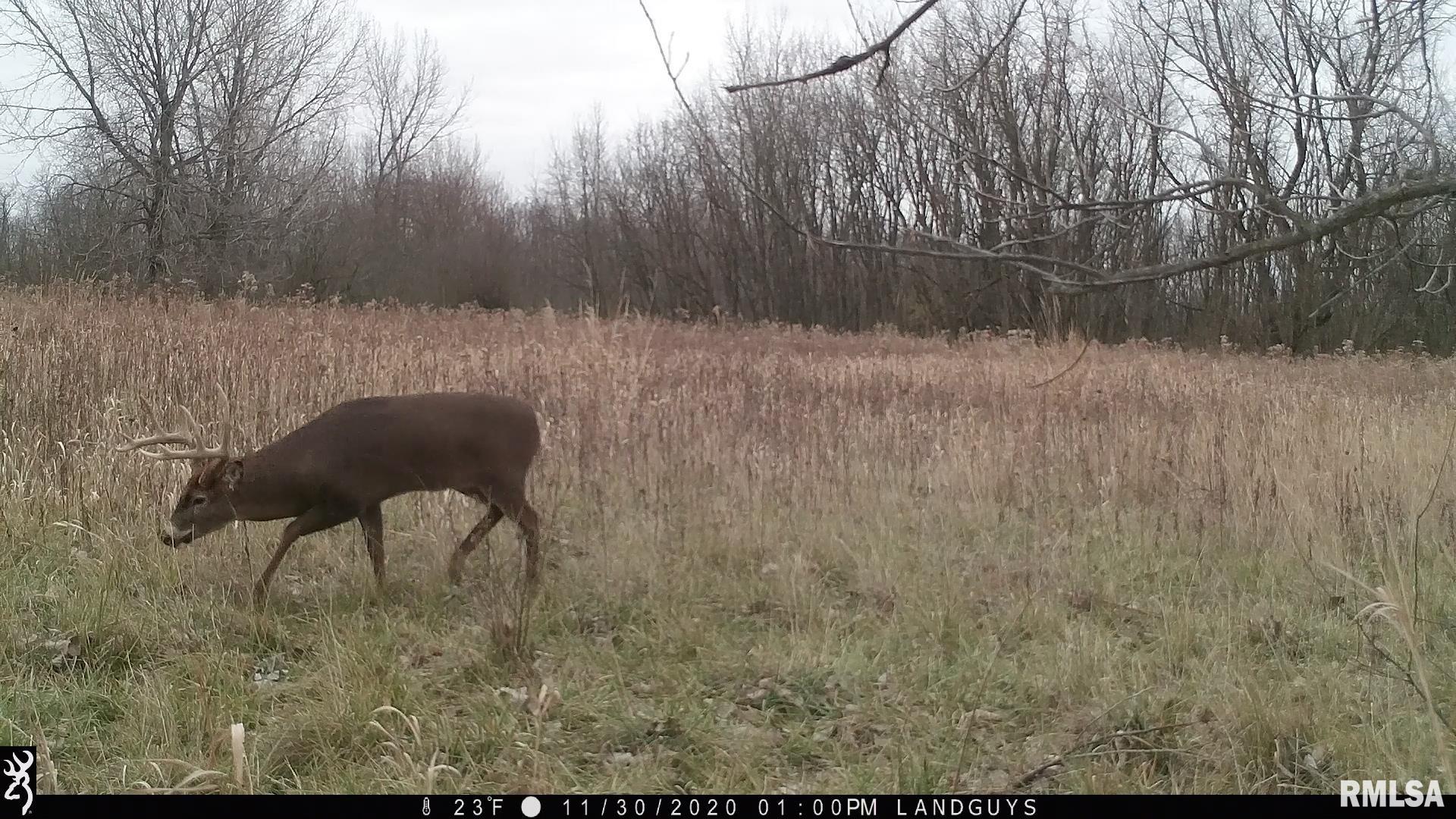 0 Sherwood Road Dahinda, IL 61428 - Photo 56 of 75