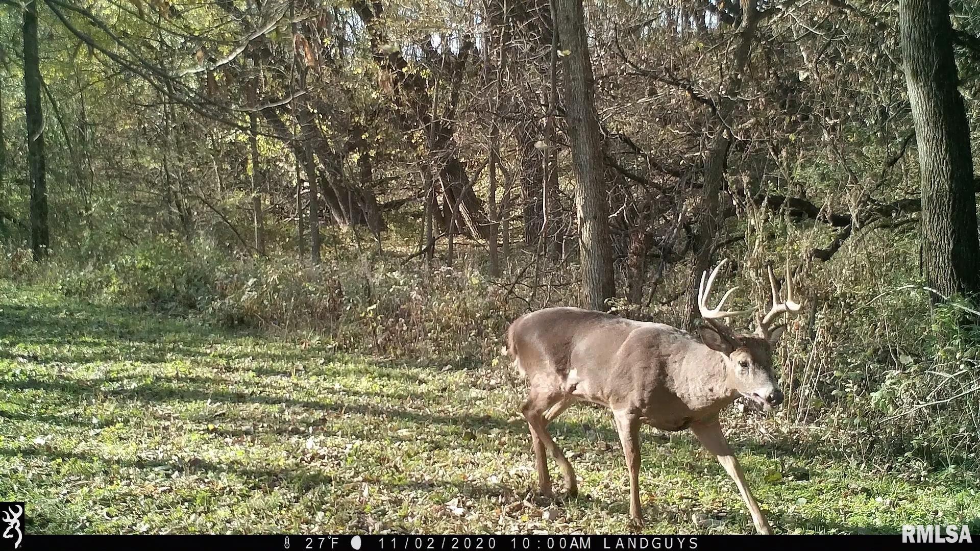 0 Sherwood Road Dahinda, IL 61428 - Photo 57 of 75