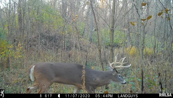 $1,241,108 | 0 Sherwood Road, Dahinda, IL 61428