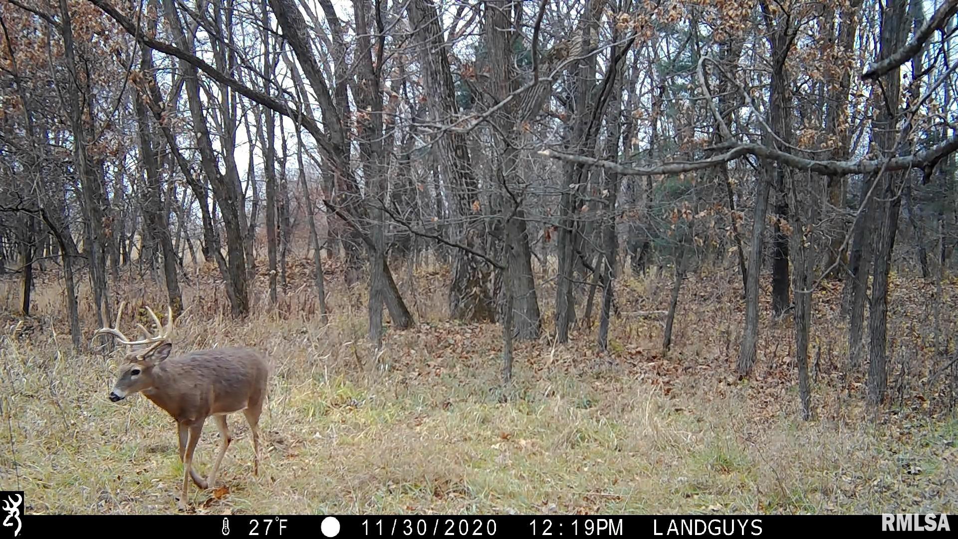 0 Sherwood Road Dahinda, IL 61428 - Photo 62 of 75
