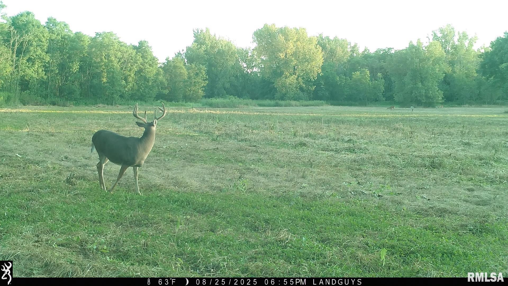 0 Sherwood Road Dahinda, IL 61428 - Photo 63 of 75