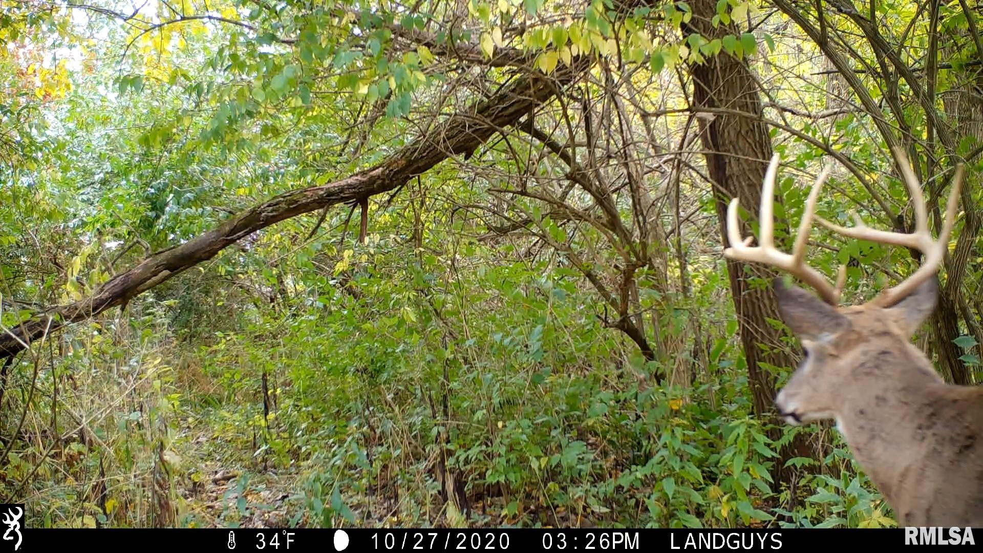 0 Sherwood Road Dahinda, IL 61428 - Photo 64 of 75