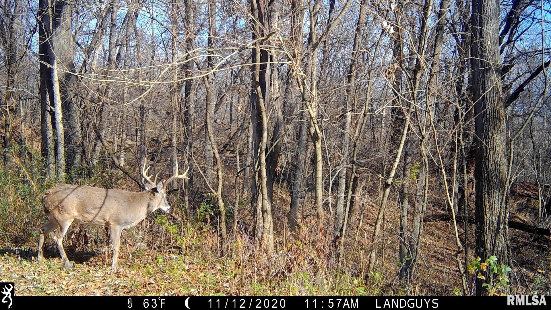 0 Sherwood Road Dahinda, IL 61428 - Photo 67 of 75