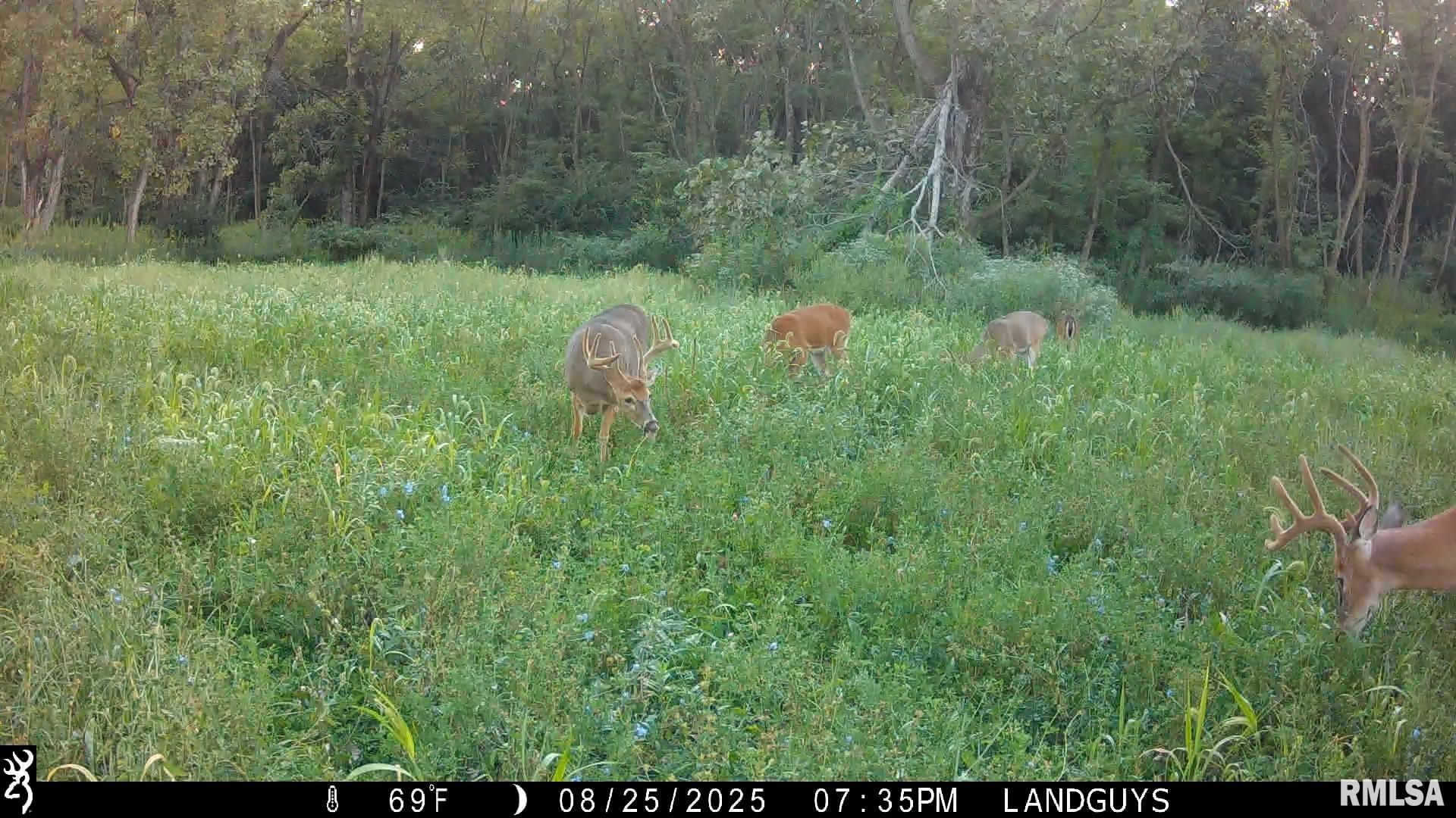 0 Sherwood Road Dahinda, IL 61428 - Photo 68 of 75