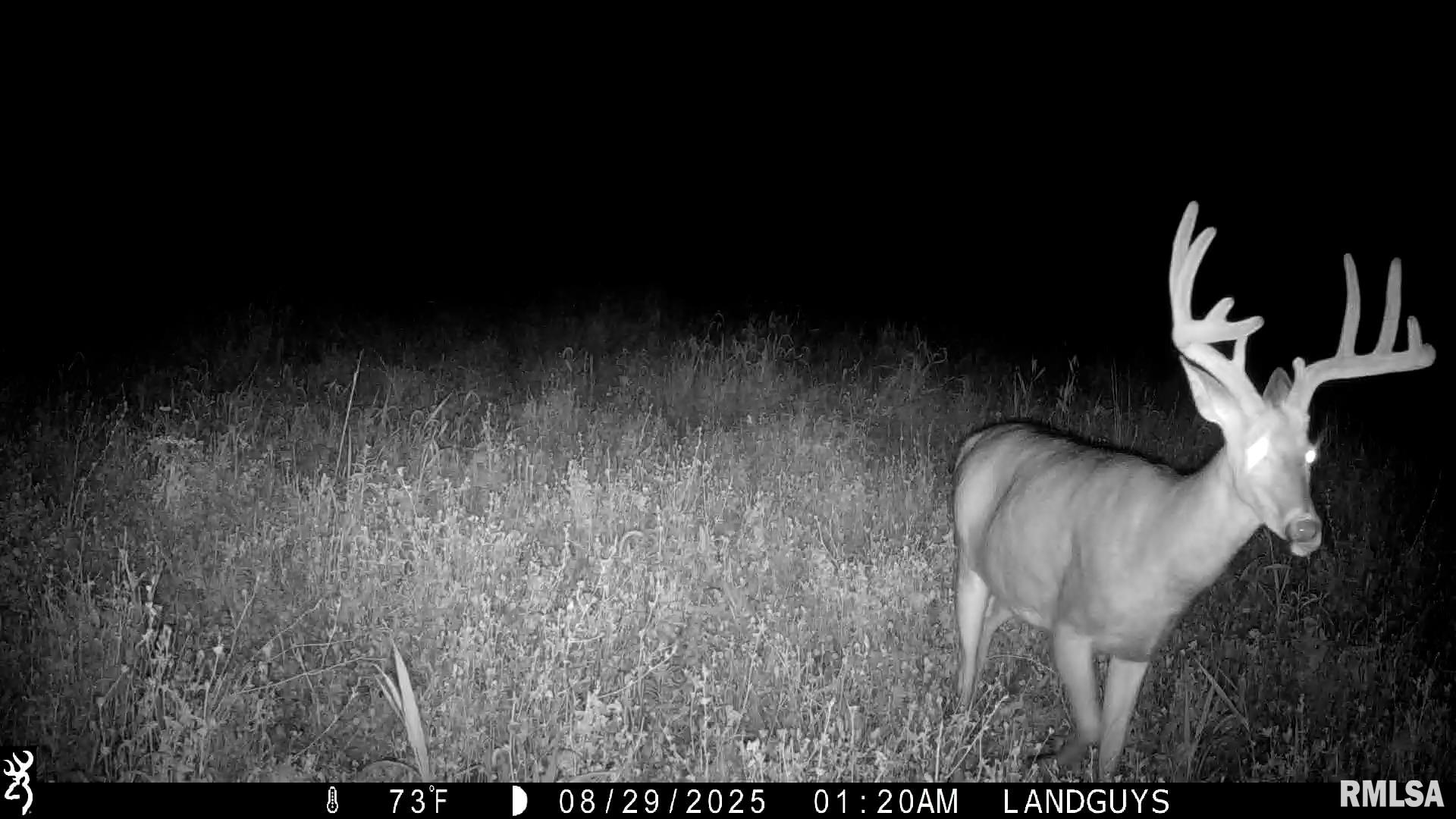 0 Sherwood Road Dahinda, IL 61428 - Photo 70 of 75