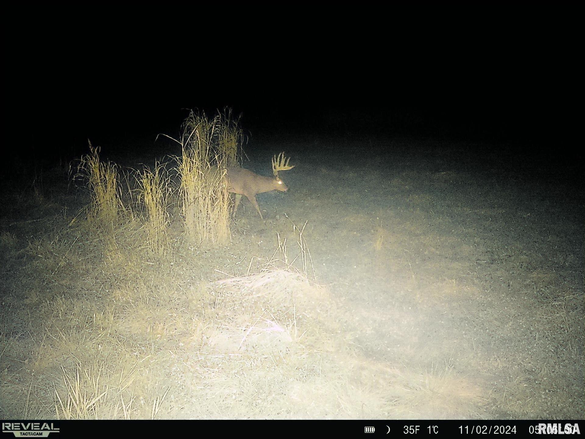 0 Sherwood Road Dahinda, IL 61428 - Photo 74 of 75