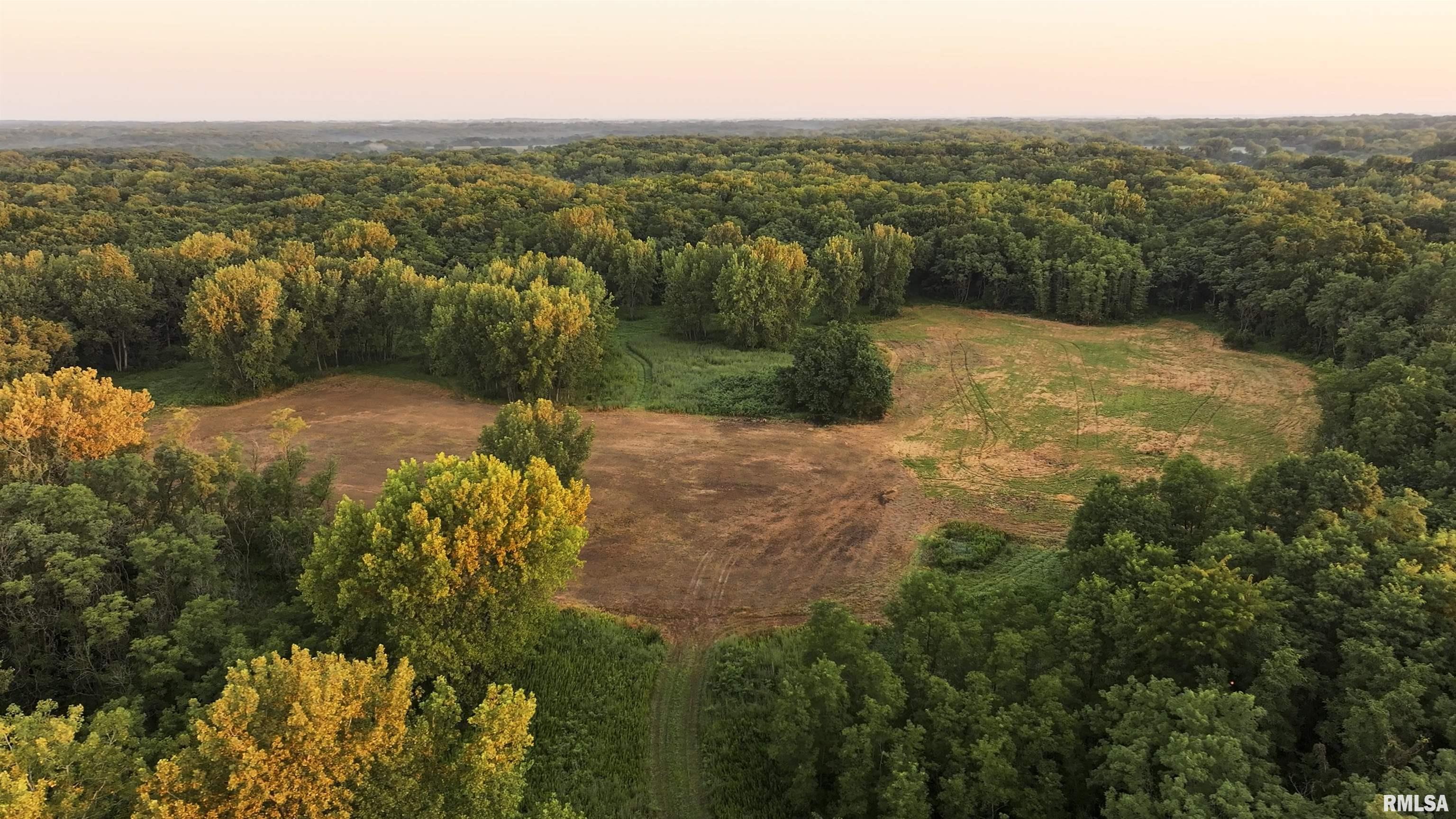 0 Sherwood Road Dahinda, IL 61428 - Photo 8 of 75