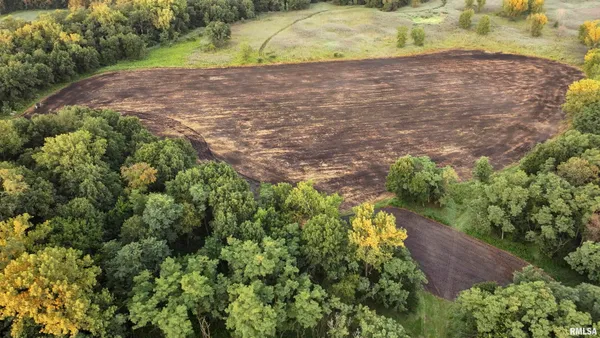 $1,241,108 | 0 Sherwood Road, Dahinda, IL 61428