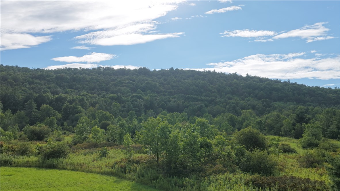30 State Route Gilboa, NY 12076 - Photo 37 of 41 Gallery Image 37