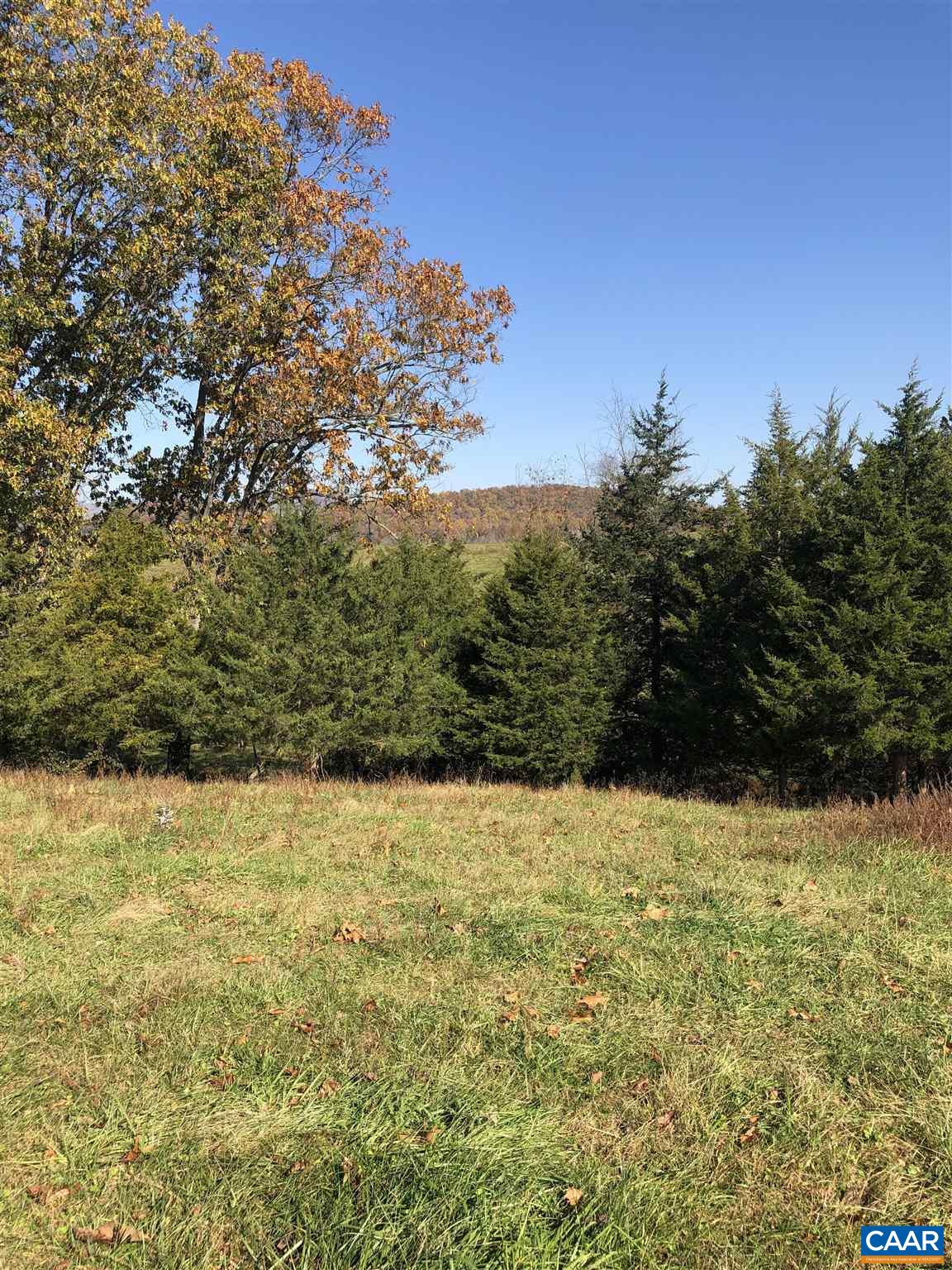 D Octonia Road Stanardsville, VA 22973 - Photo 7 of 17 a view of a yard with a house