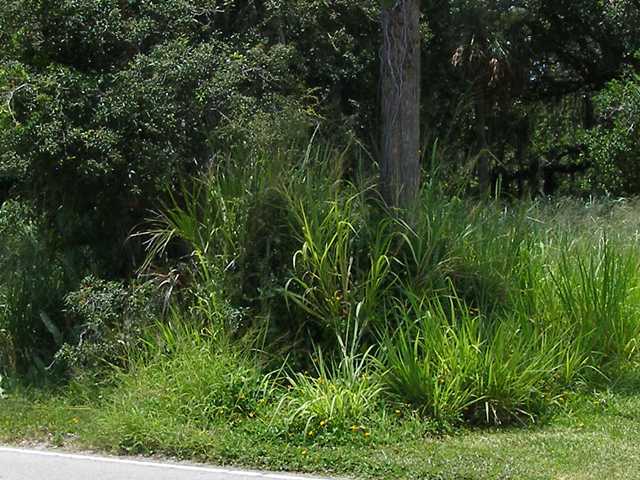 River Drive Fort Pierce, FL 34950 - Photo 3 of 4 Additional Photo
